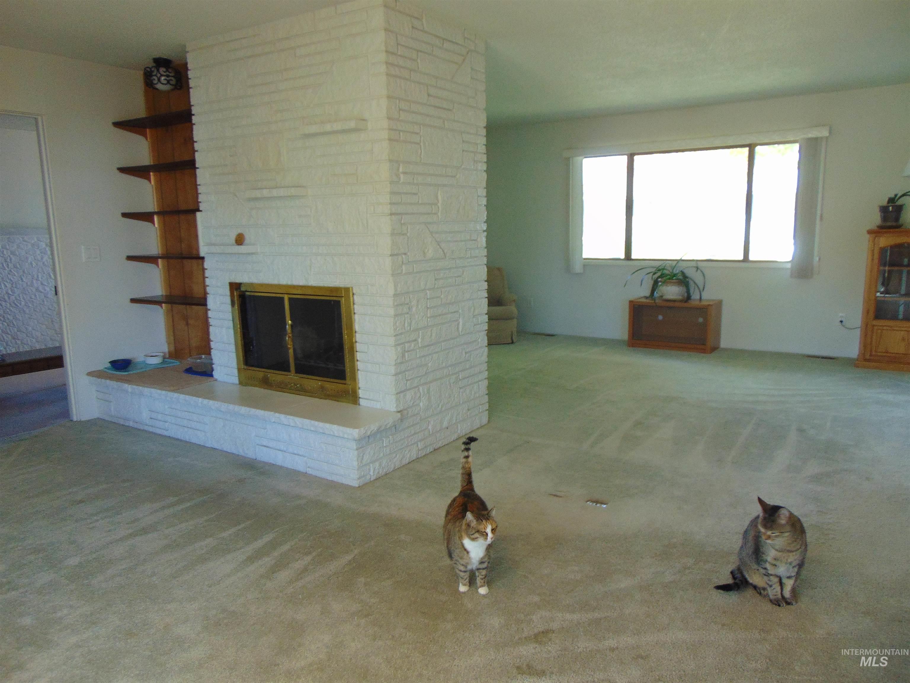 Unfurnished living room featuring carpet floors and a fireplace