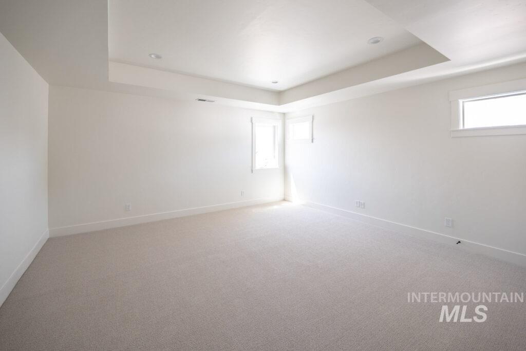 Spare room featuring a tray ceiling, healthy amount of natural light, and light colored carpet