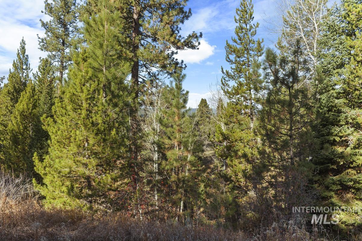 301 W Mill Street, Cascade, Idaho 83611, 2 Bedrooms, 1 Bathroom, Residential For Sale, Price $249,900, 98966179