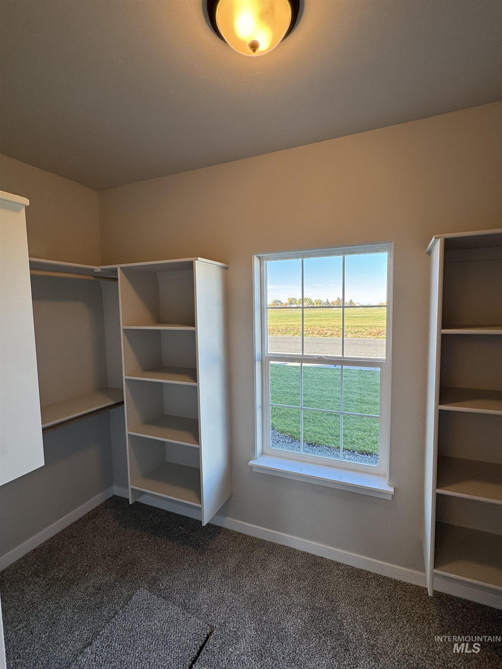 Spacious closet featuring dark carpet