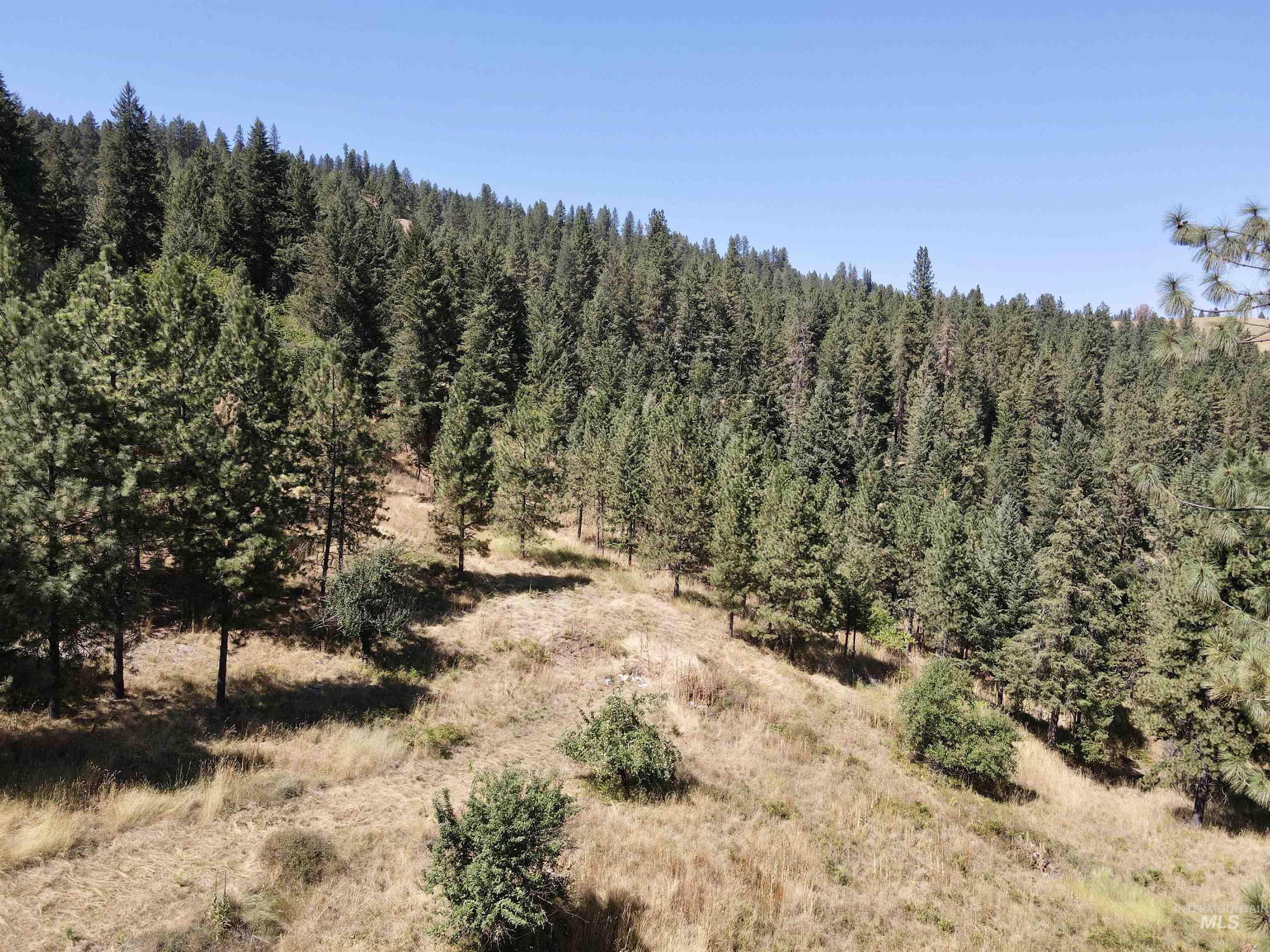 22545 Angel Ridge Road, Peck, Idaho 83545, 5 Bedrooms, 3 Bathrooms, Residential For Sale, Price $699,000, 98966229