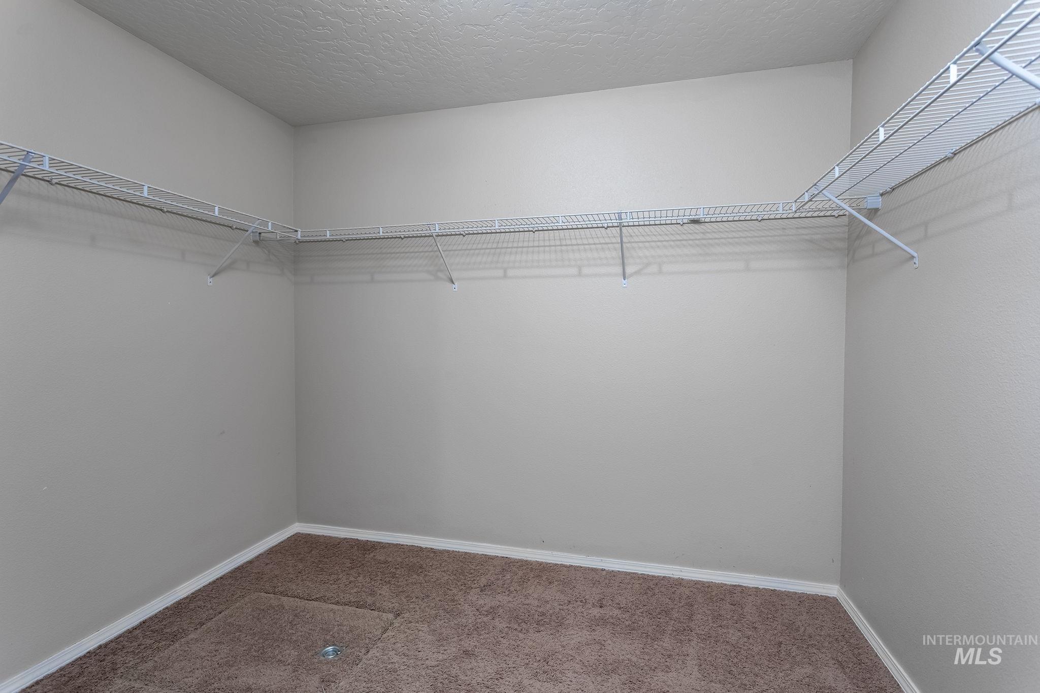 Walk in closet with carpet flooring