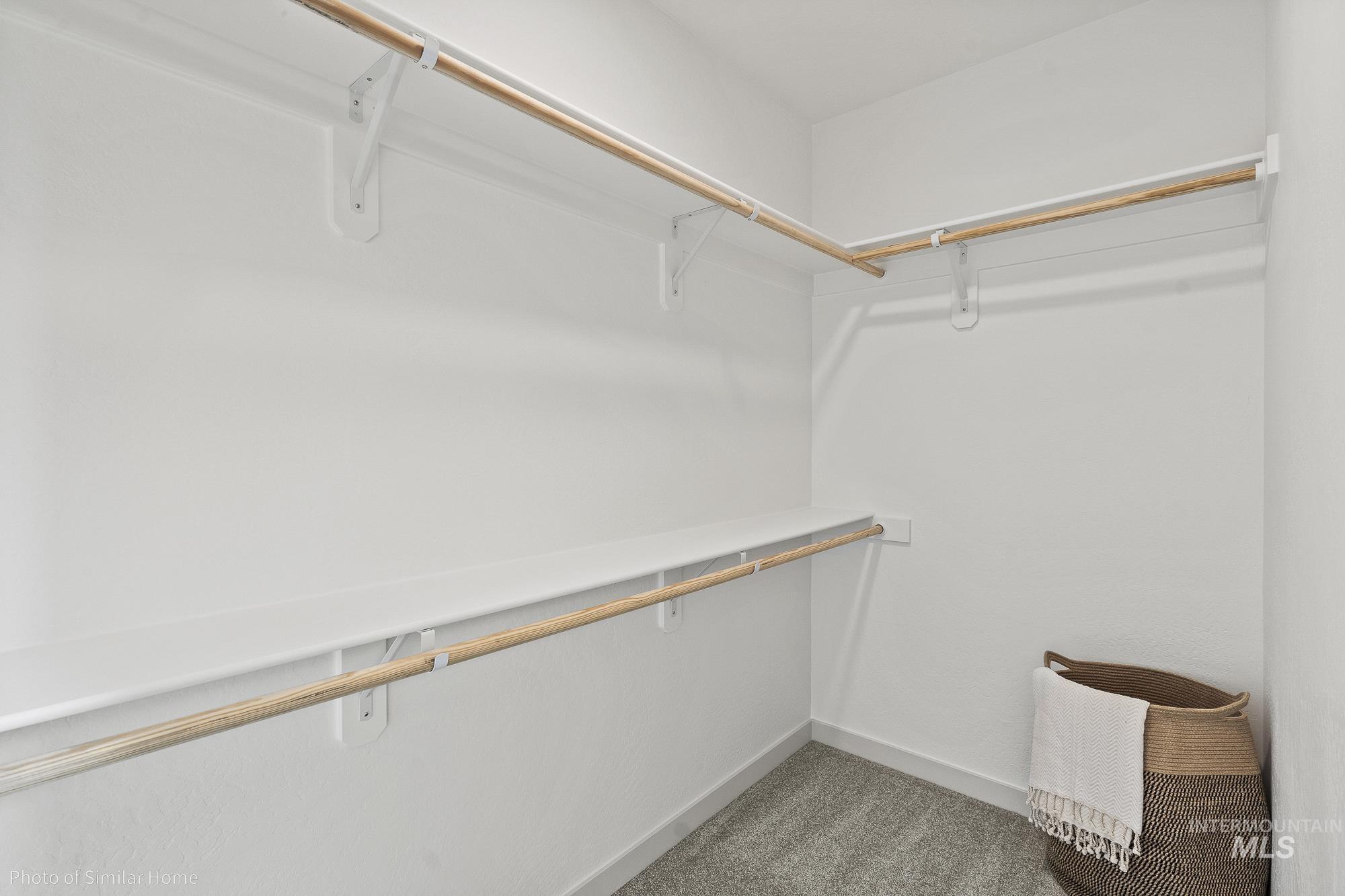 Walk in closet featuring carpet flooring