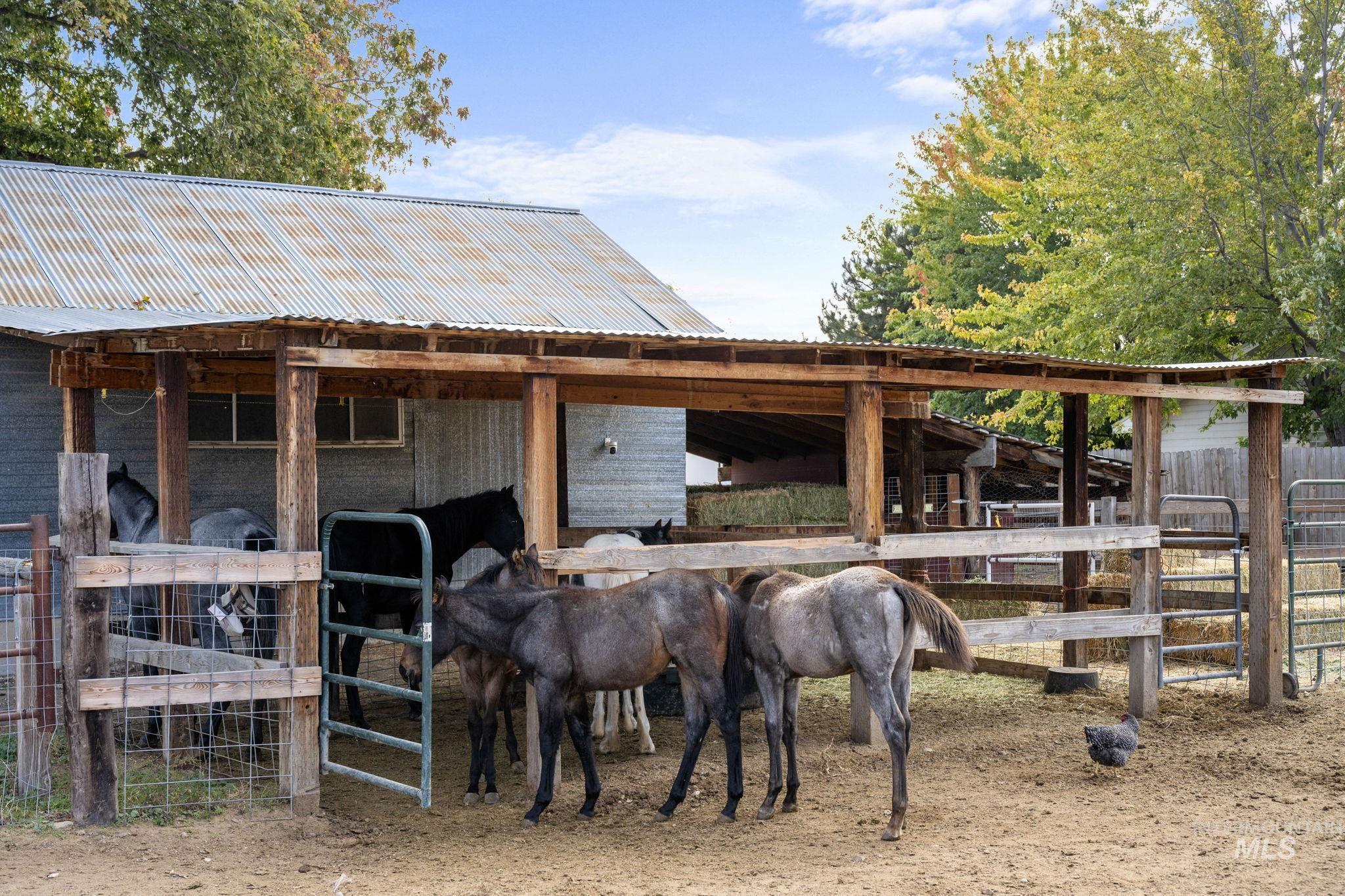 View of horse barn