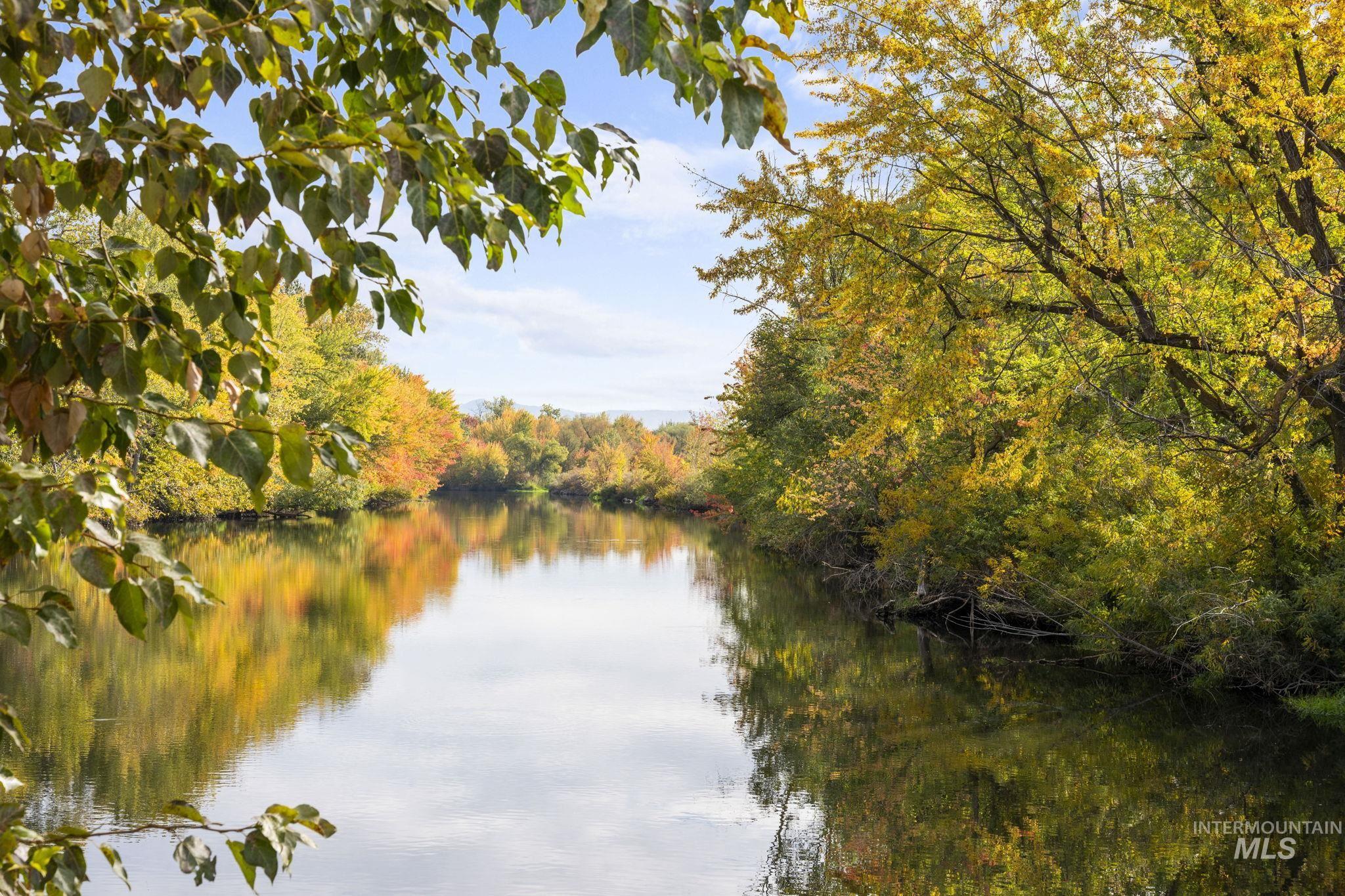 Water view featuring a heavily wooded area