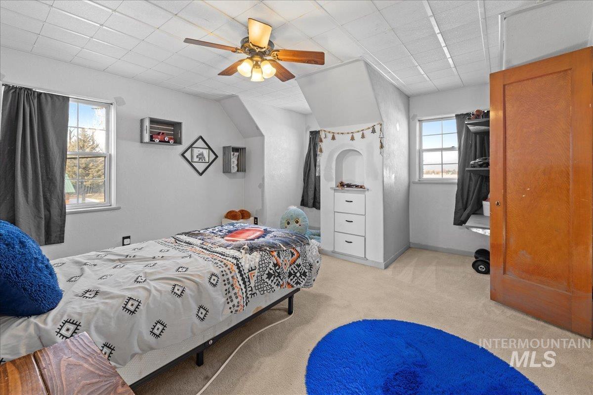 Carpeted bedroom with a ceiling fan and baseboards