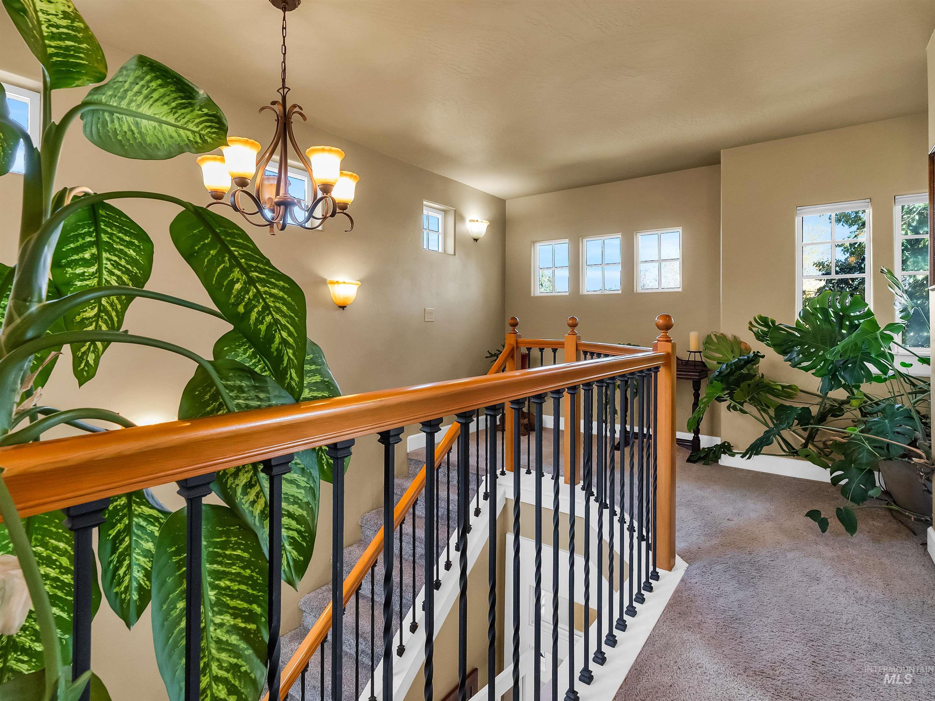 Corridor with carpet floors, healthy amount of natural light, an upstairs landing, and a chandelier
