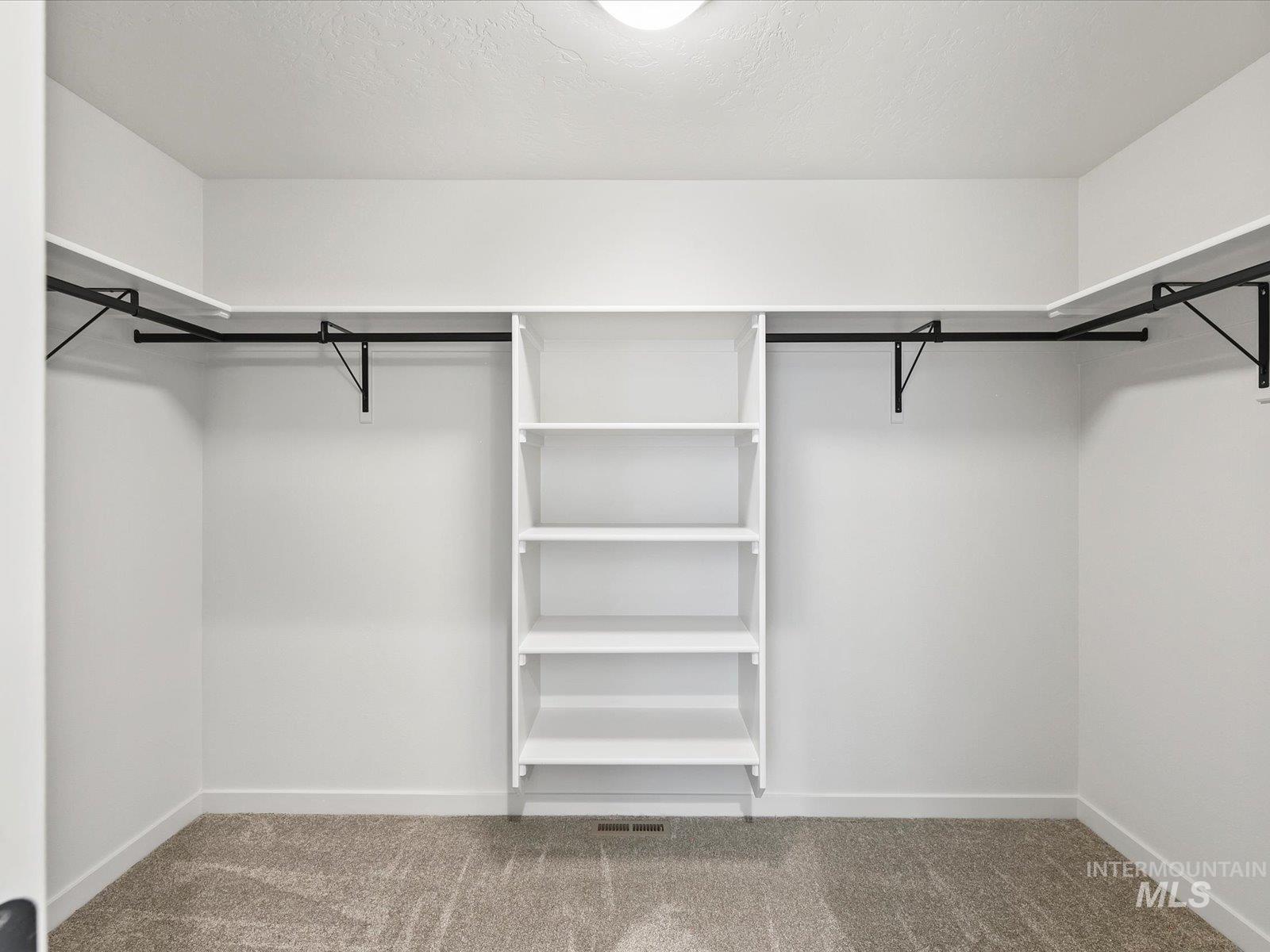 Walk in closet featuring carpet floors