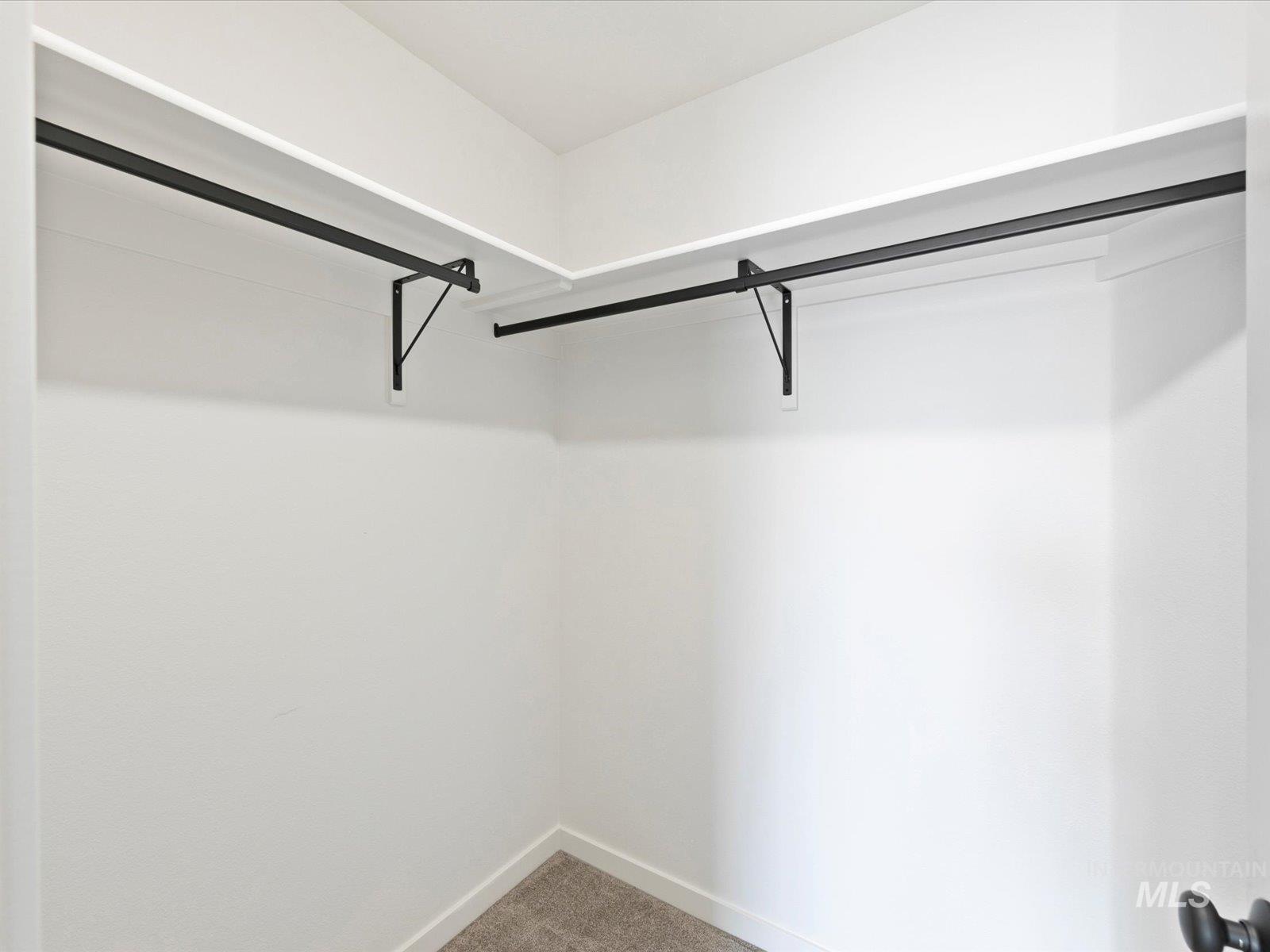 Walk in closet with carpet flooring