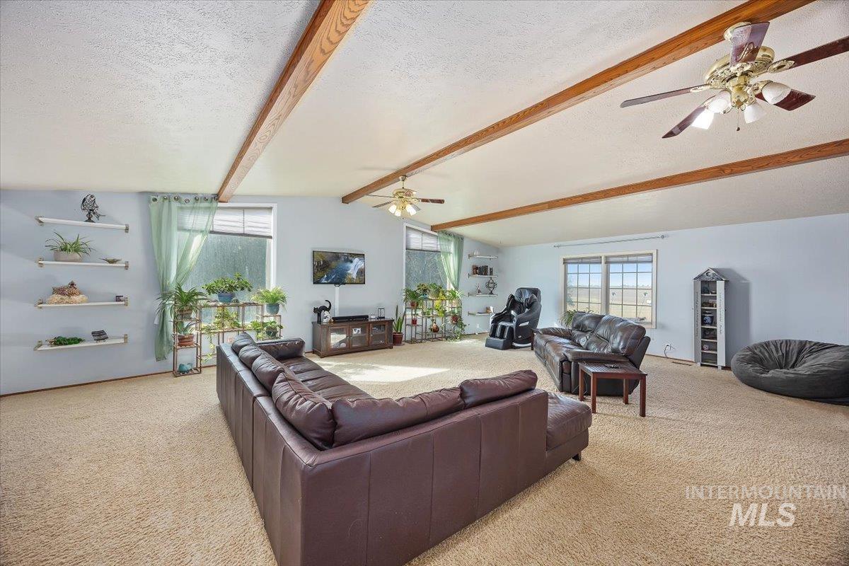 Living room featuring light colored carpet, a ceiling fan, plenty of natural light, and a textured ceiling