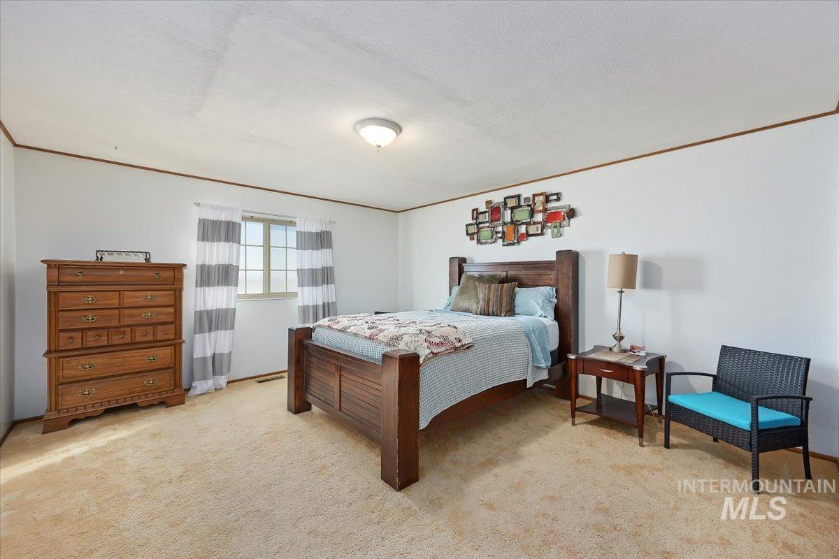 Bedroom with crown molding, light colored carpet, and a textured ceiling