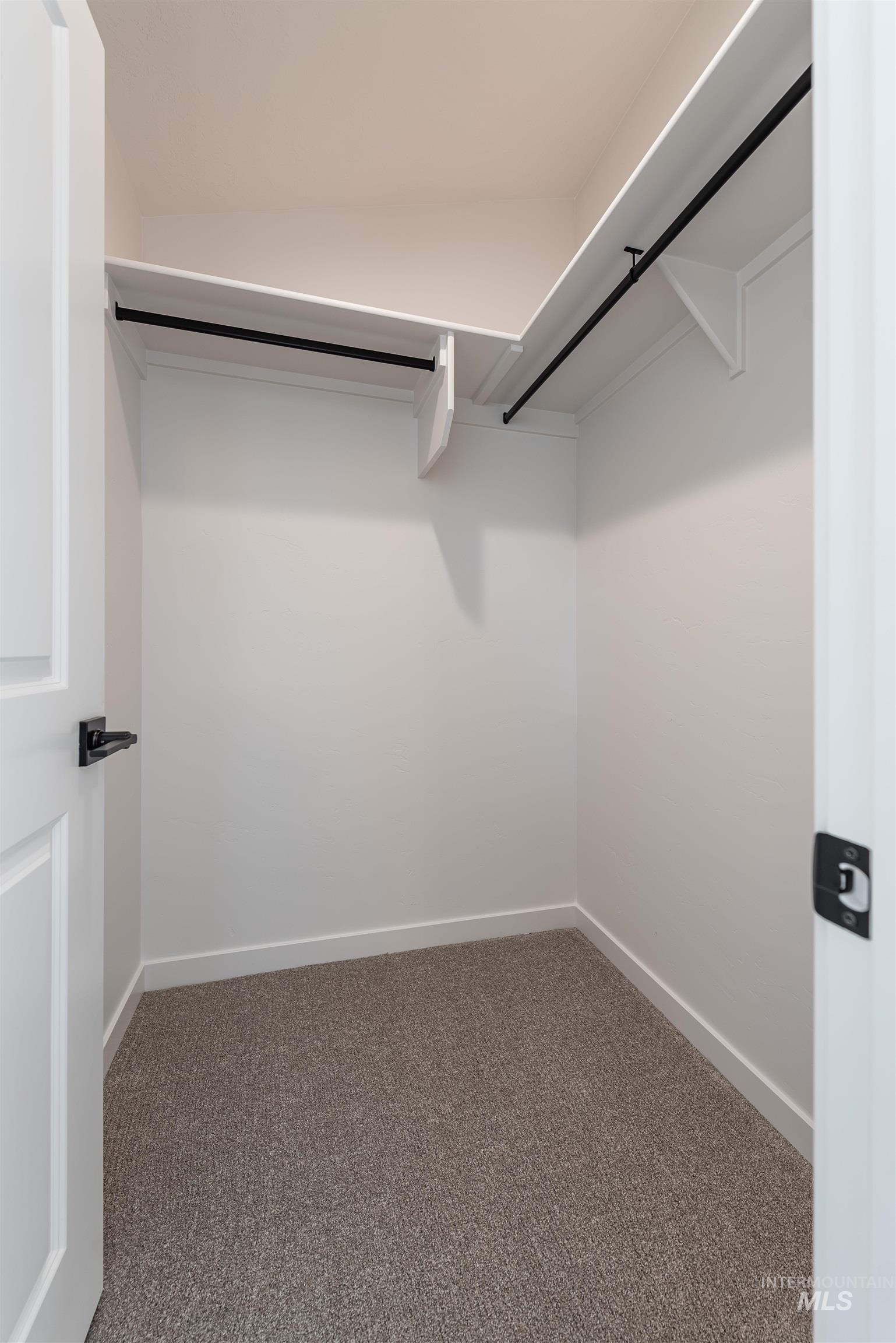 Spacious closet with carpet flooring