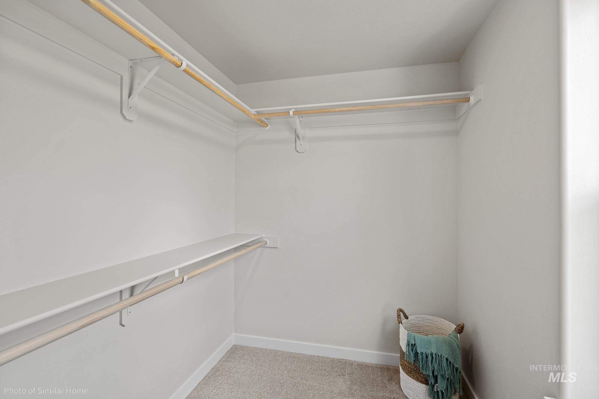 Spacious closet featuring light carpet