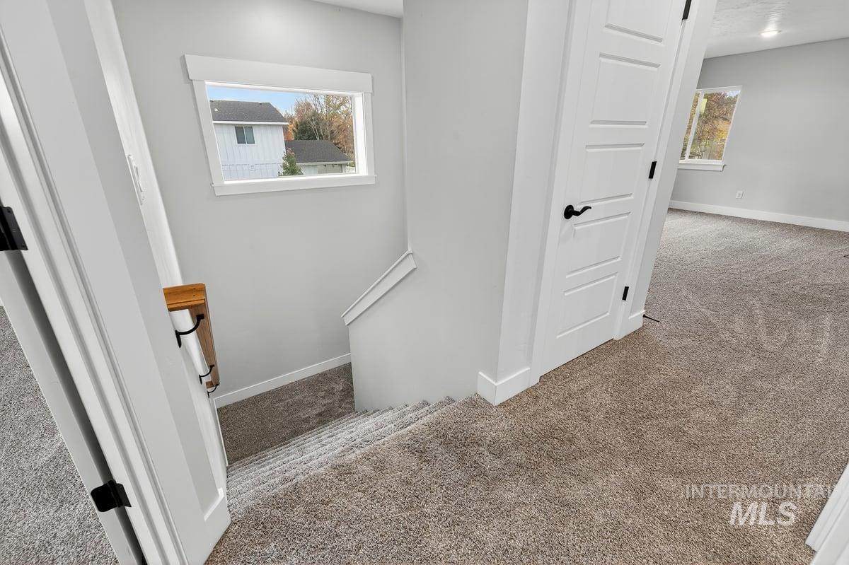 Staircase with carpet flooring