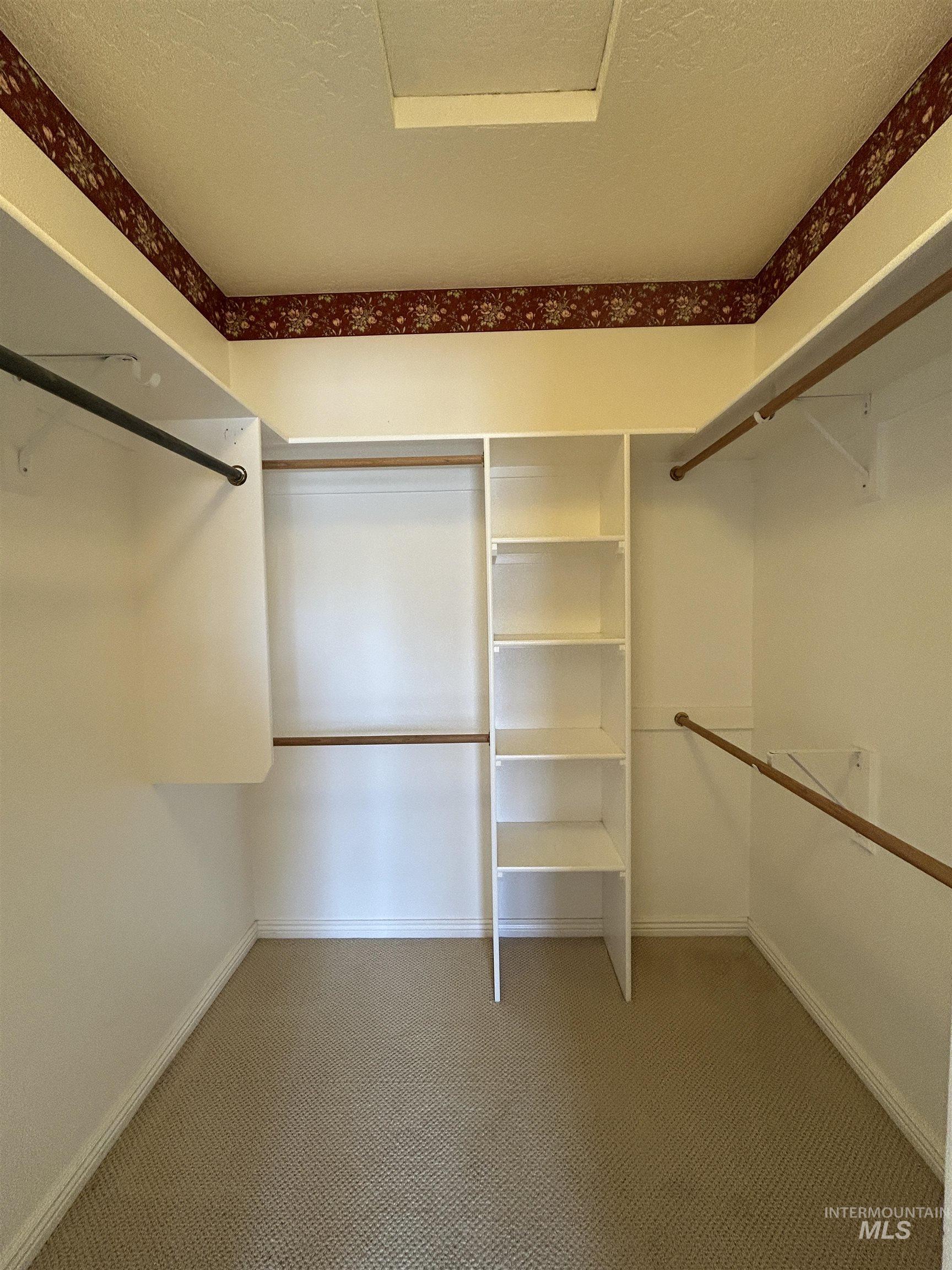Spacious closet featuring carpet