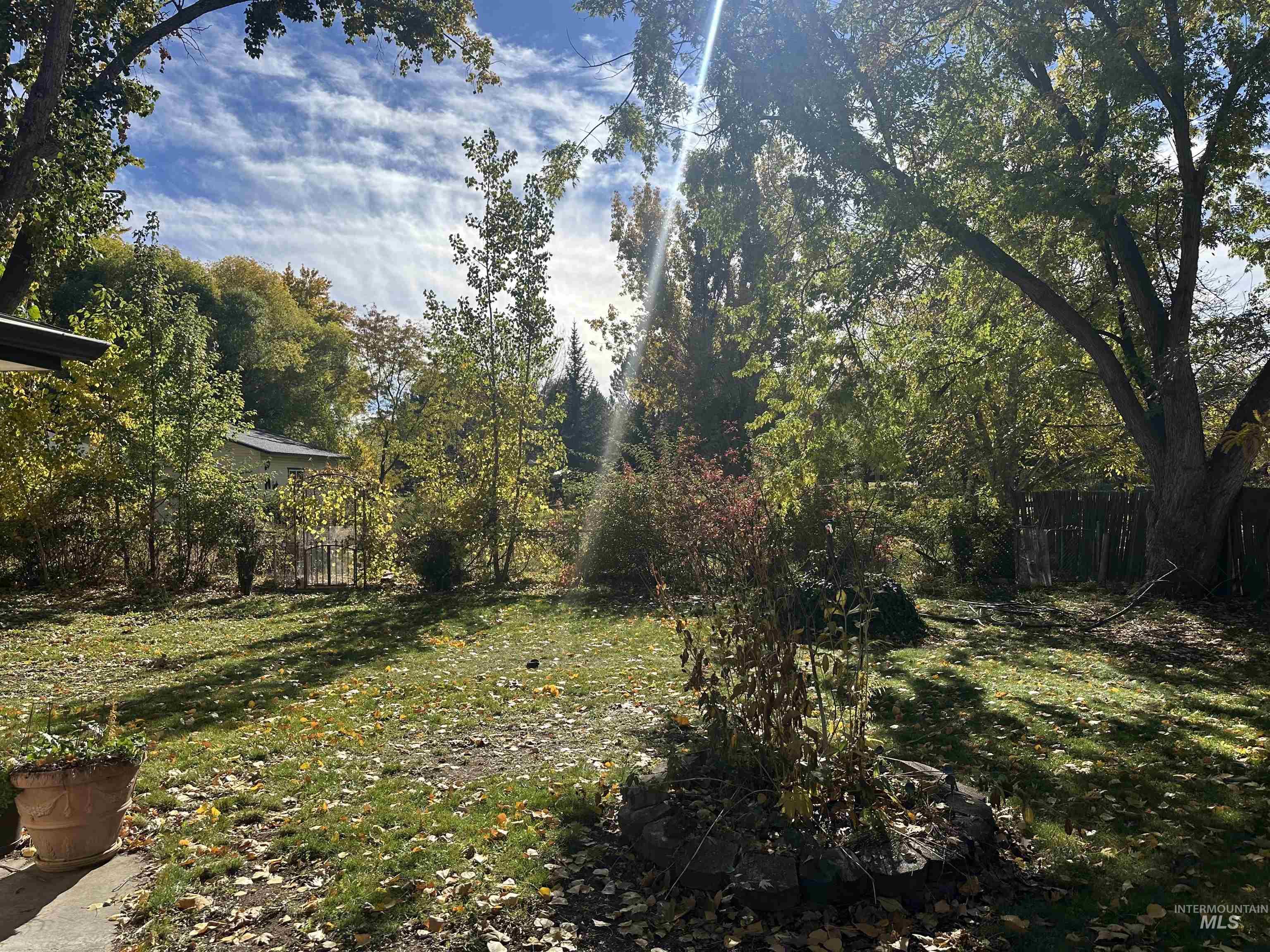 View of yard featuring a forest view