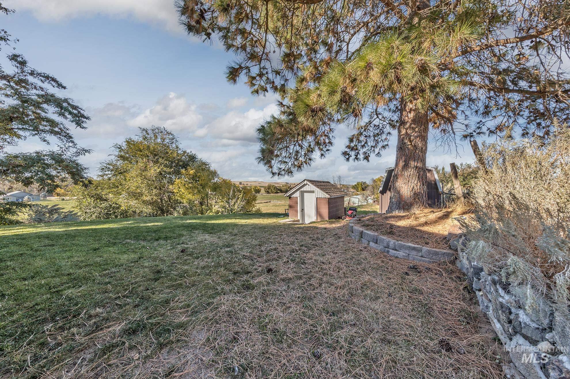 View of green lawn featuring a shed