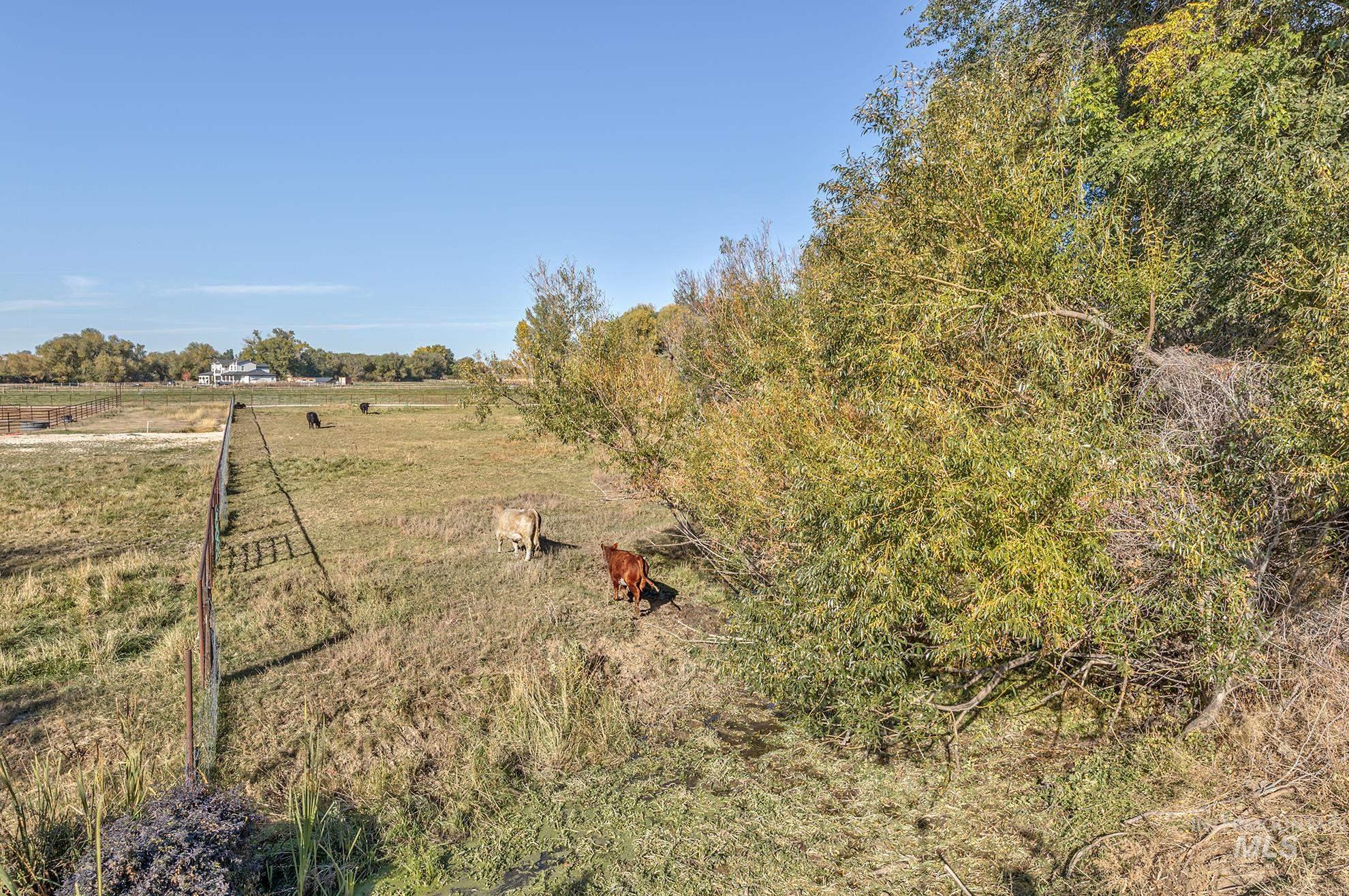 View of yard featuring a view of rural / pastoral area