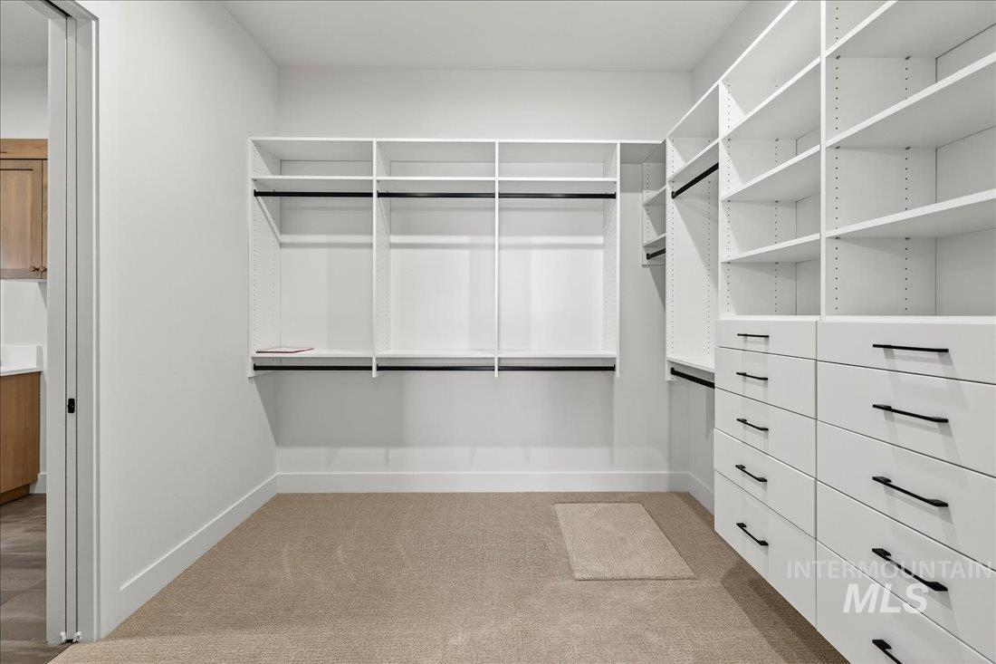 Walk in closet with light carpet
