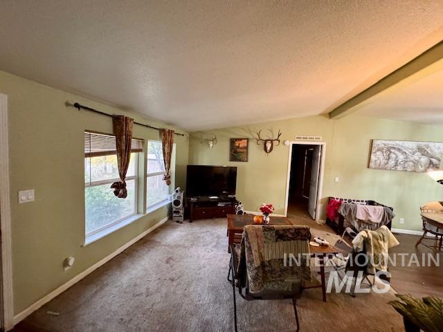 Carpeted living room featuring baseboards and a textured ceiling
