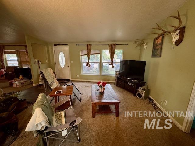 Living area with a textured ceiling and carpet floors
