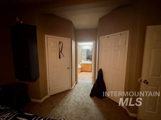 Bedroom featuring carpet, a closet, and connected bathroom