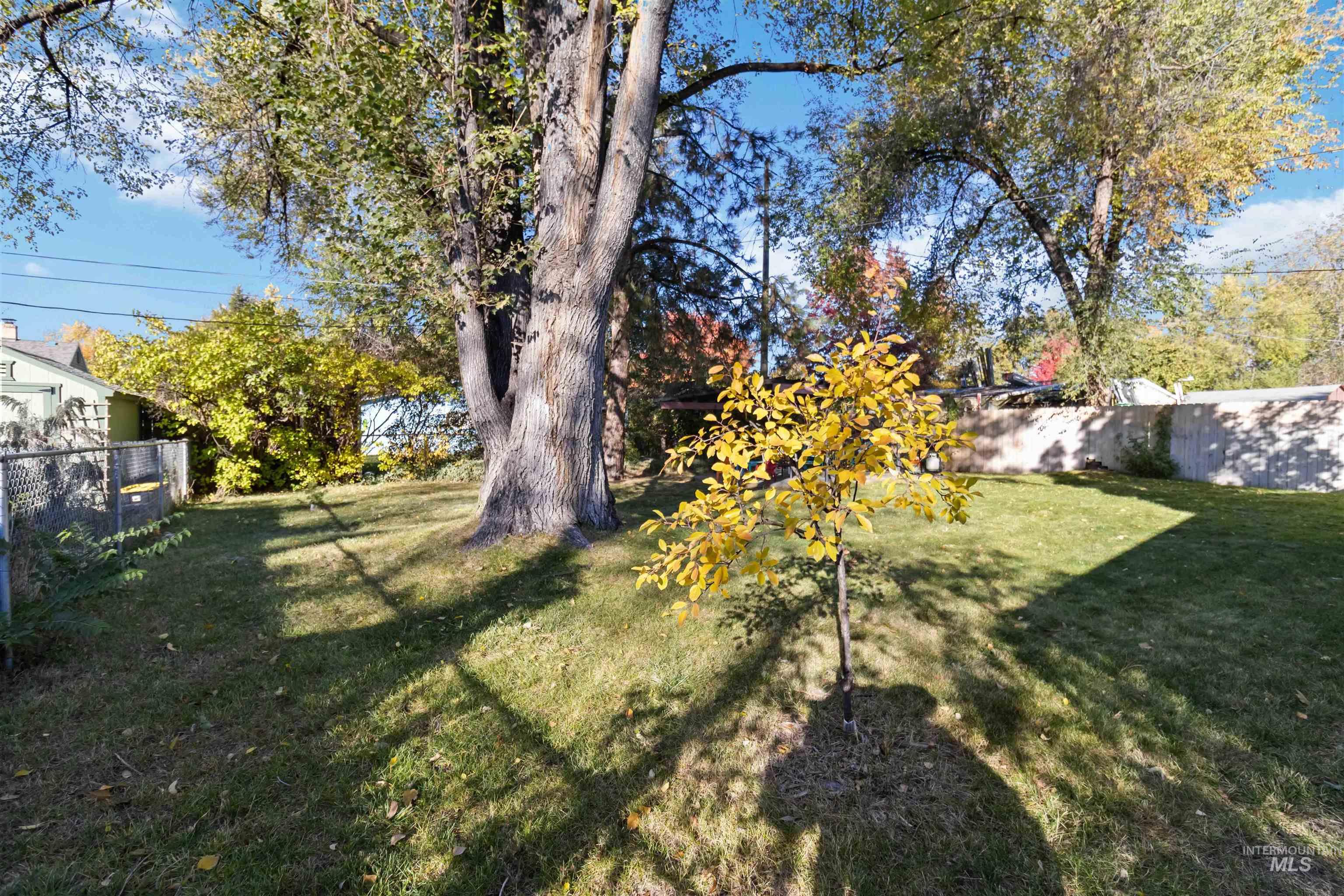 View of fenced backyard