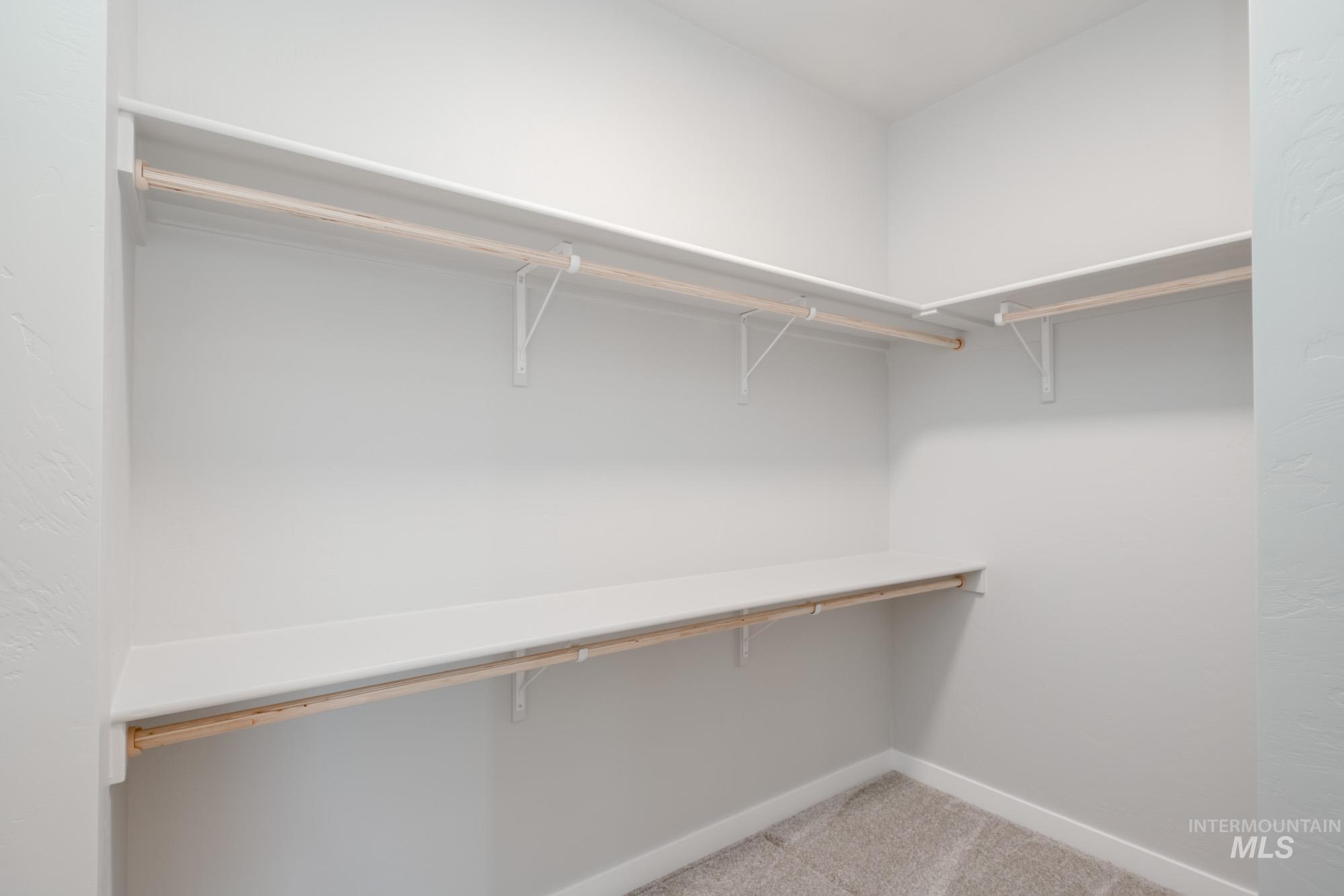 Spacious closet featuring light carpet