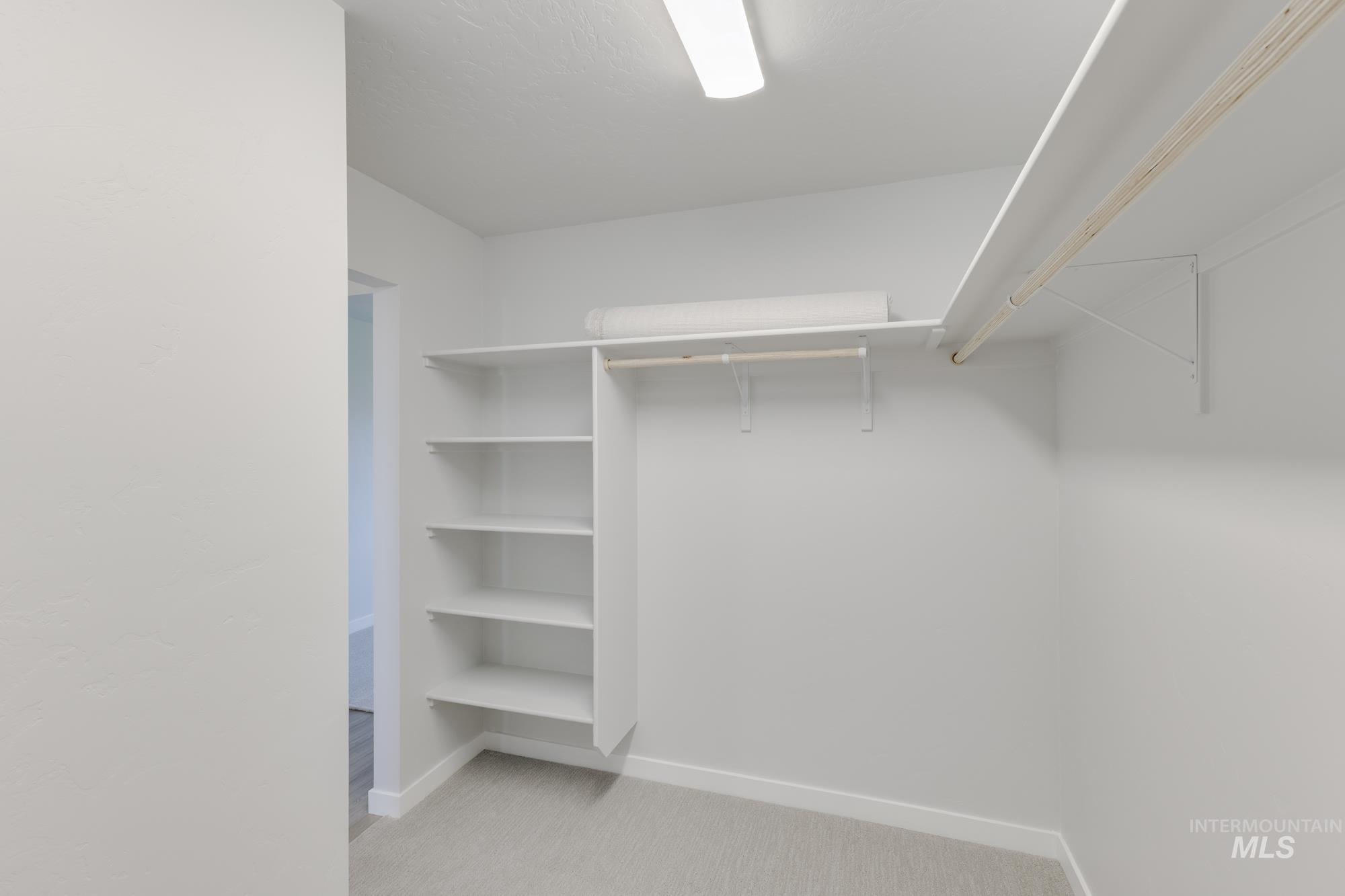 Walk in closet with light colored carpet