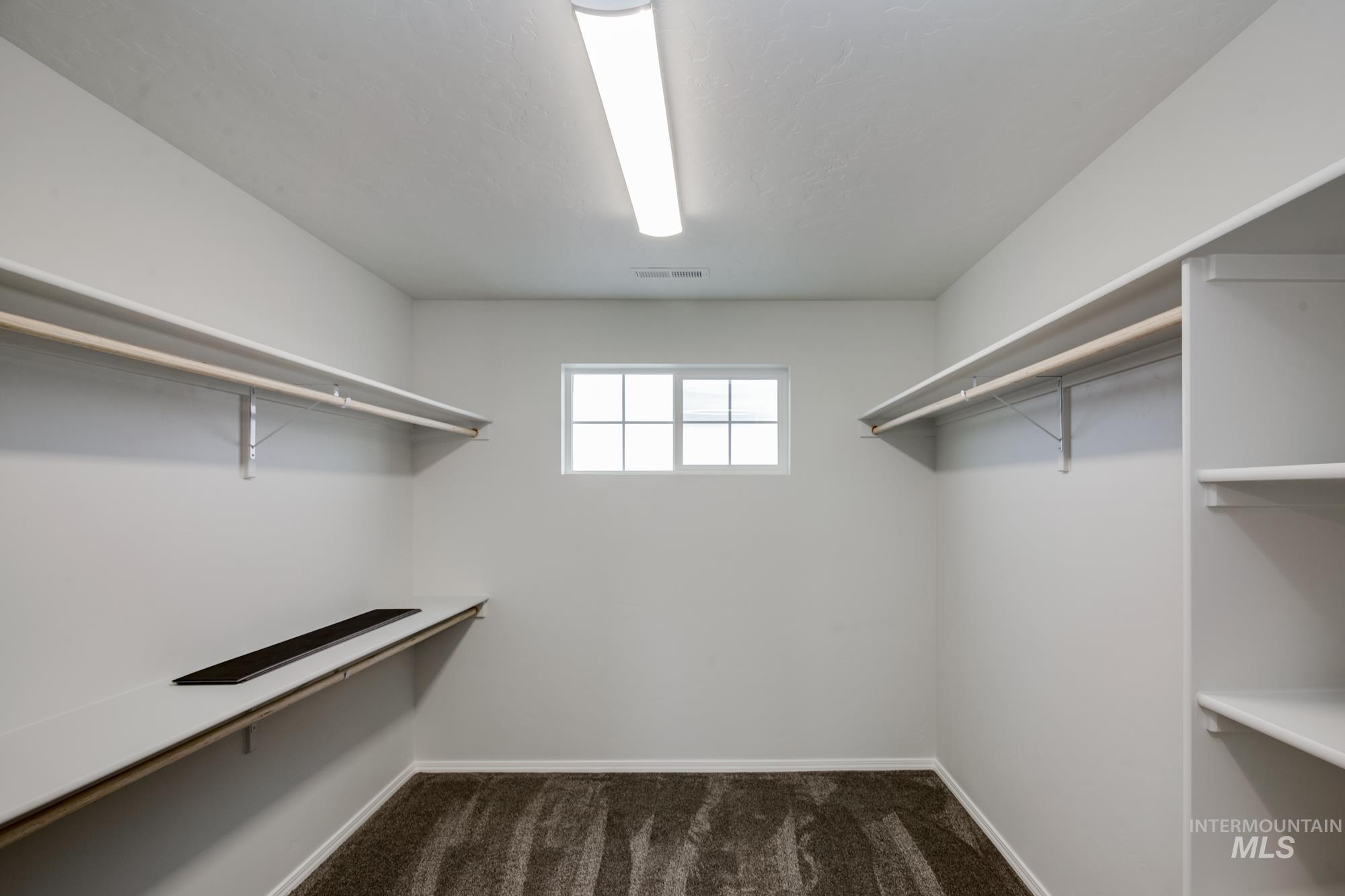 Spacious closet with dark colored carpet