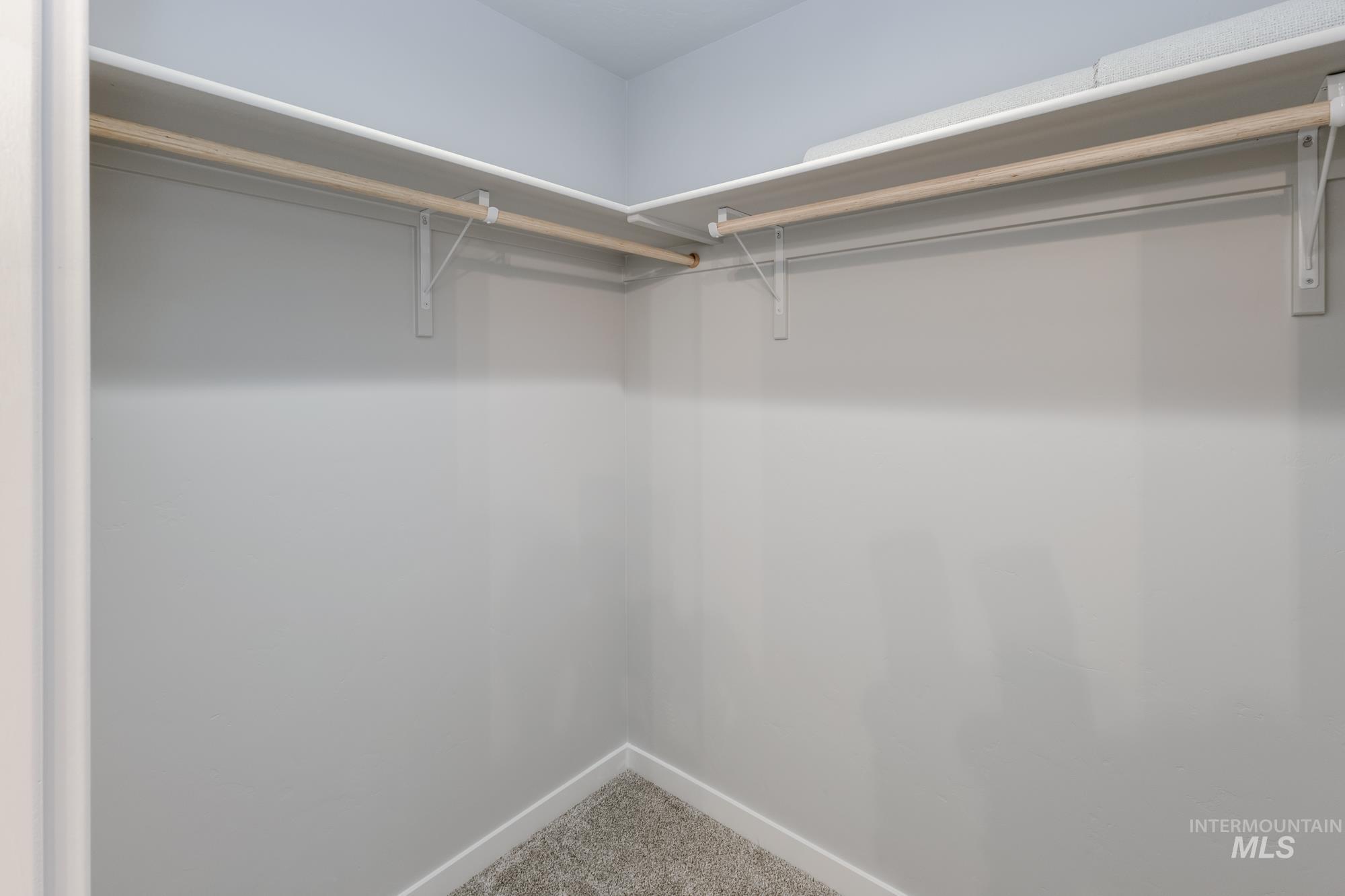 Walk in closet featuring carpet flooring