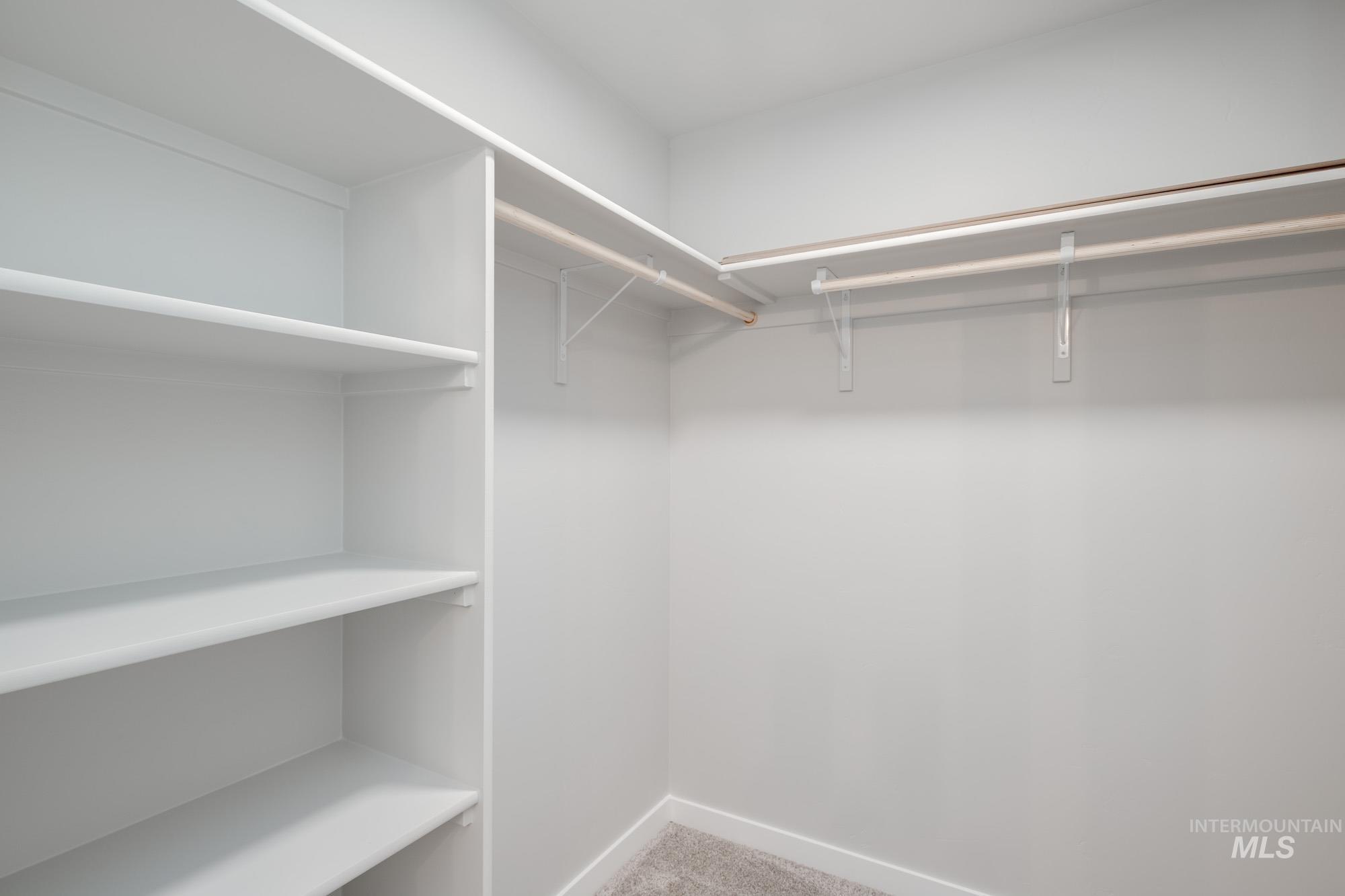 Walk in closet with light colored carpet