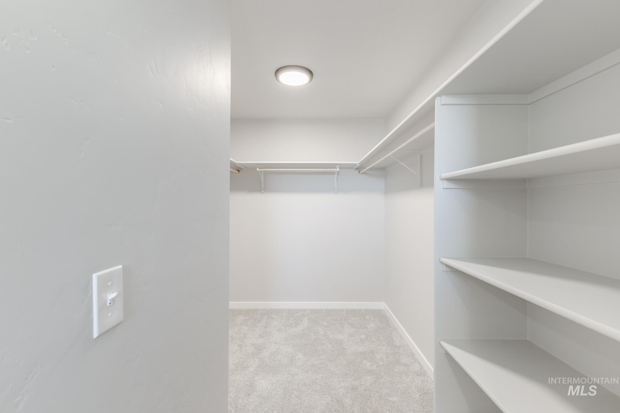 Spacious closet with light carpet