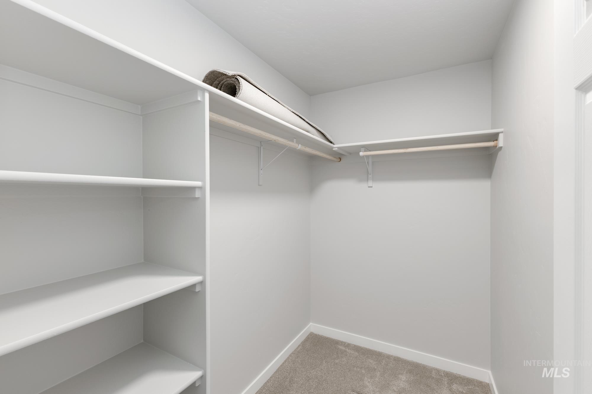 Spacious closet with light colored carpet