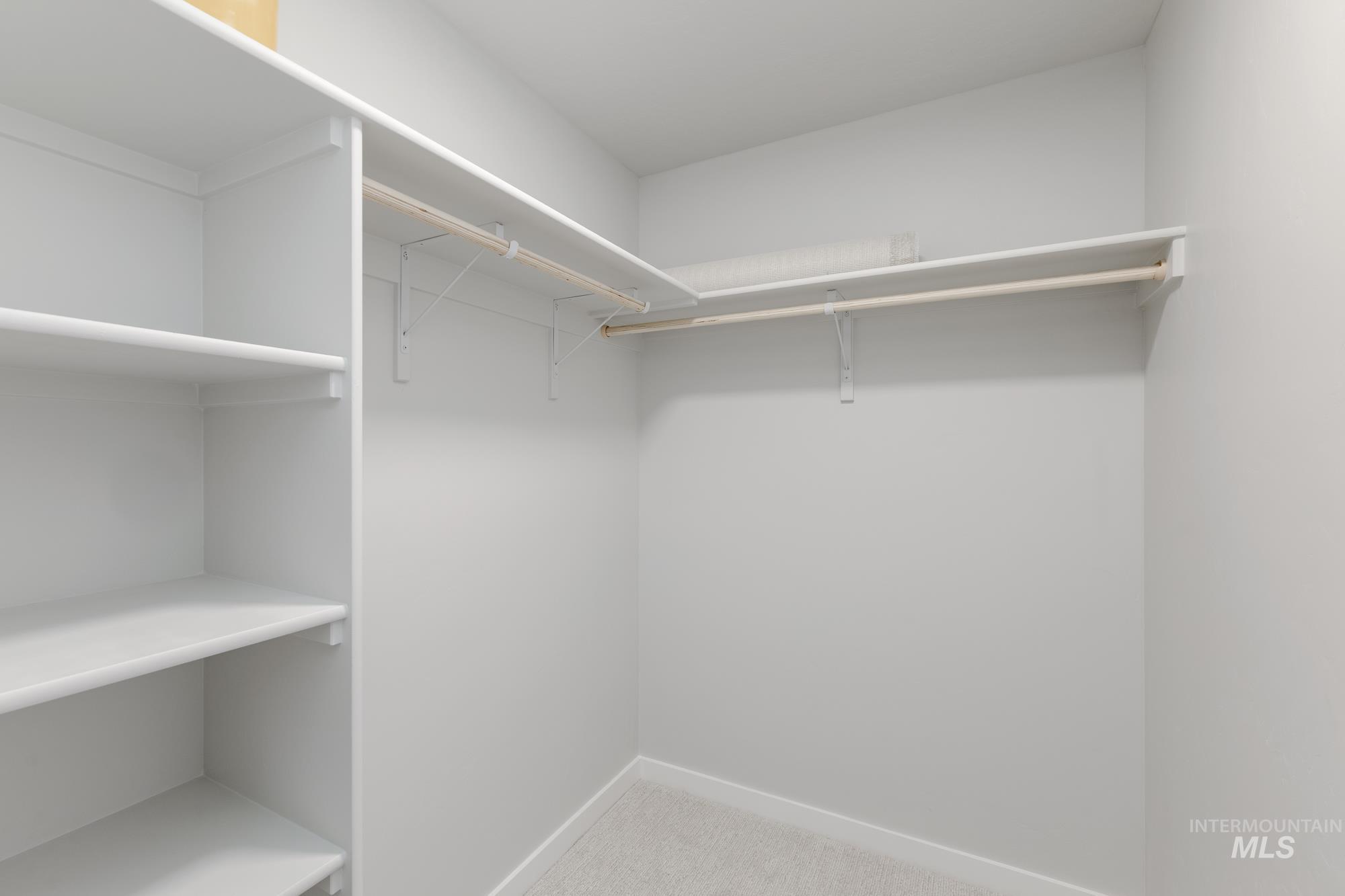 Walk in closet with light carpet