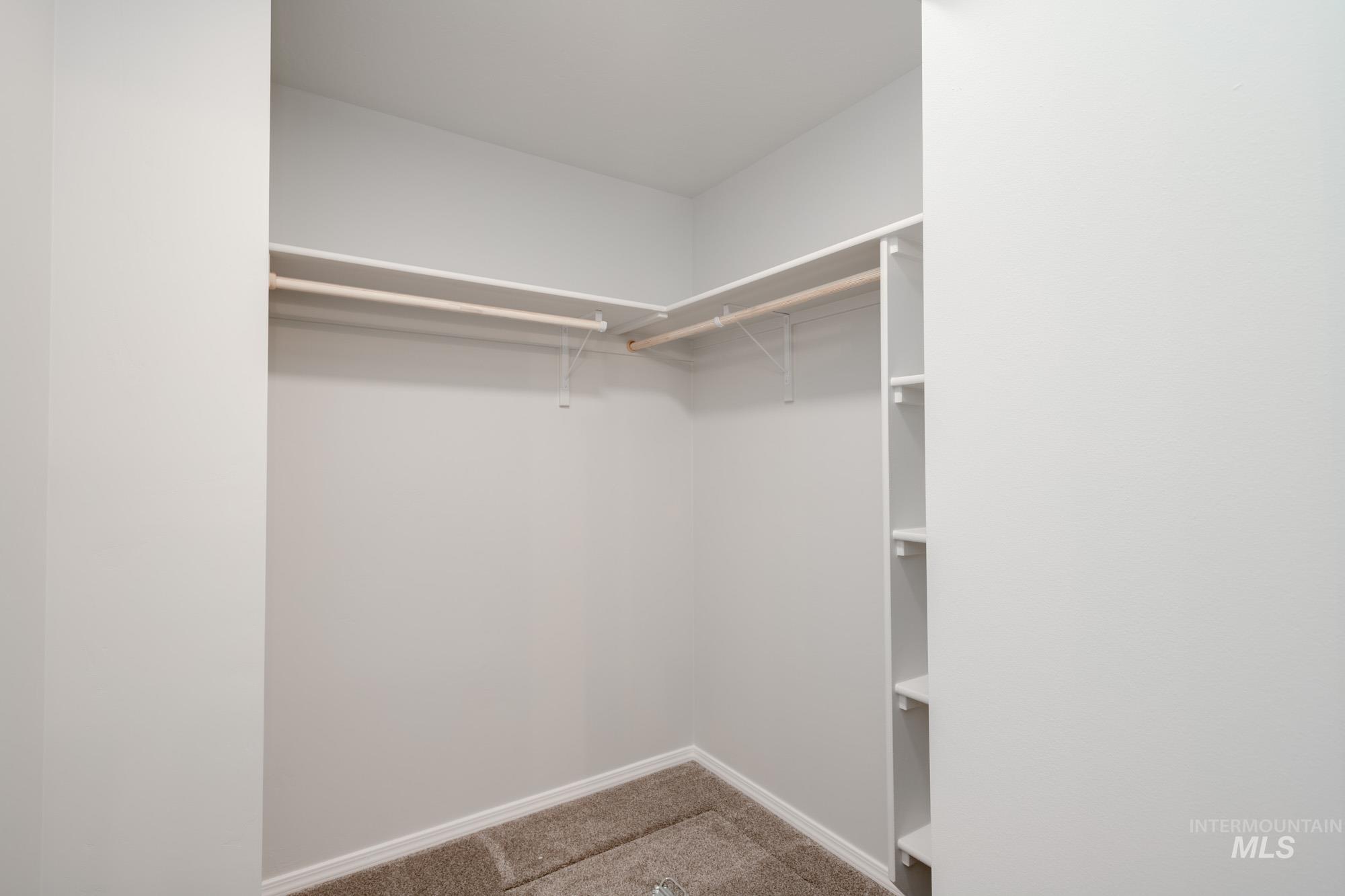 Walk in closet featuring light colored carpet