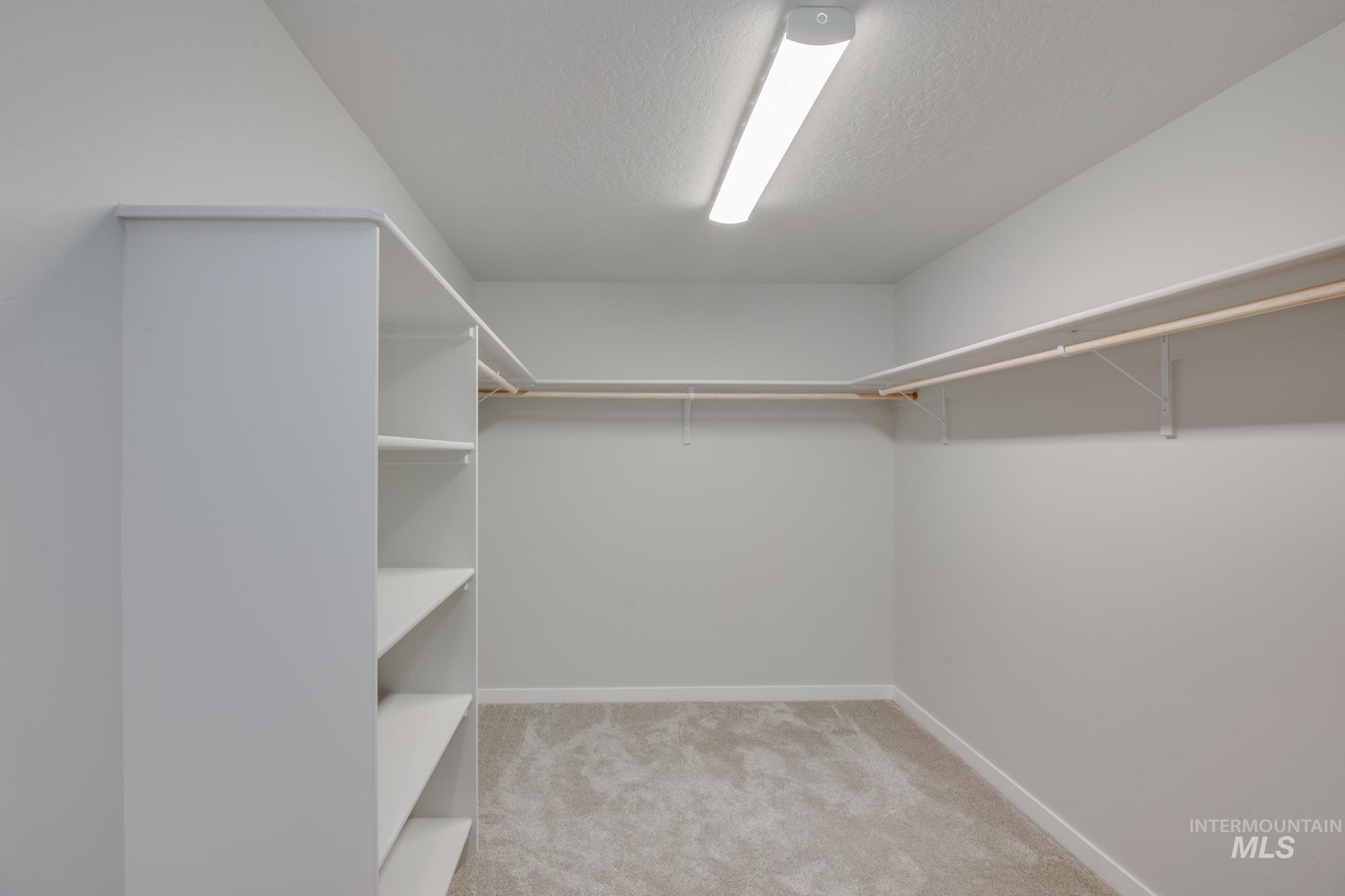 Walk in closet featuring light carpet
