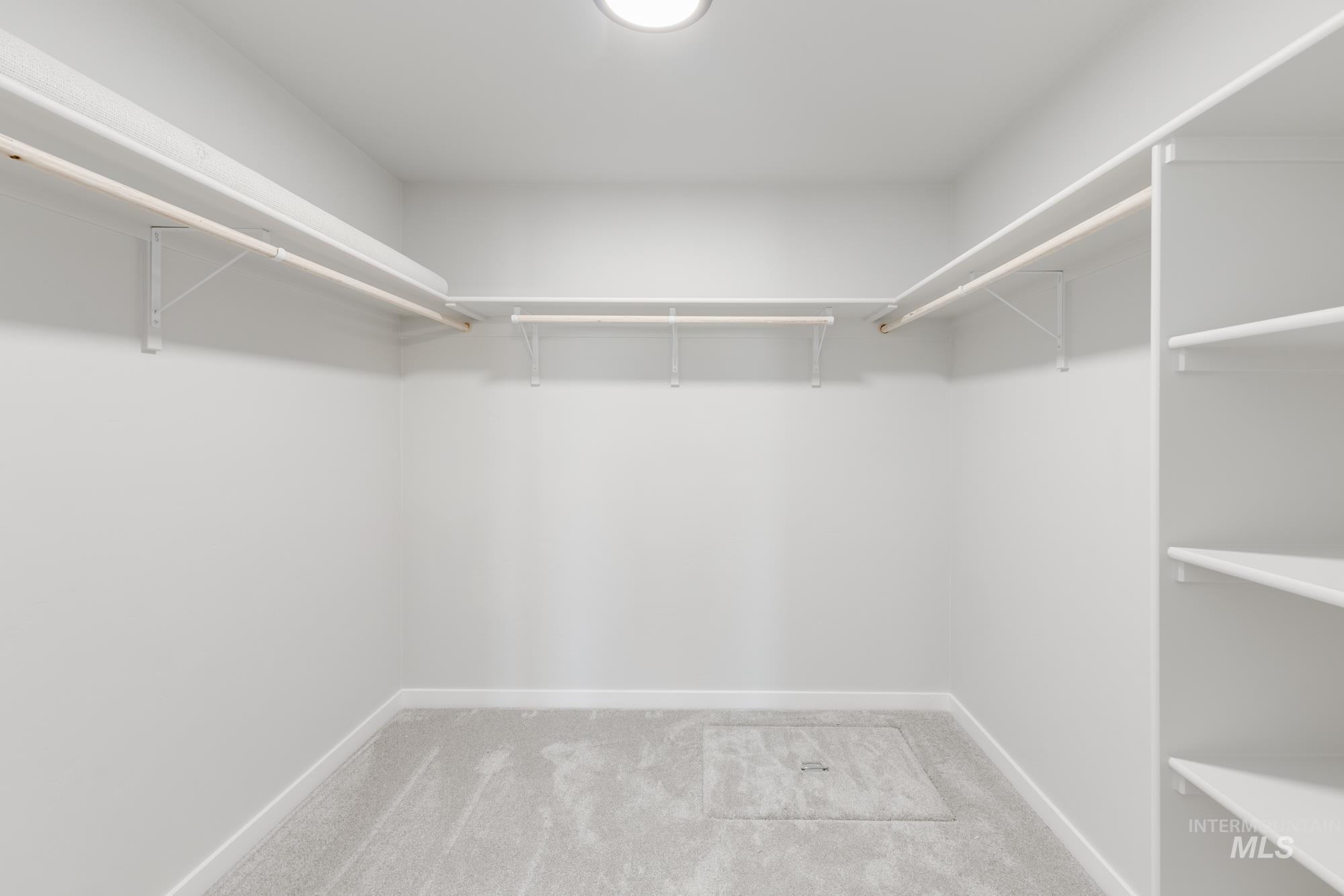 Walk in closet featuring light carpet