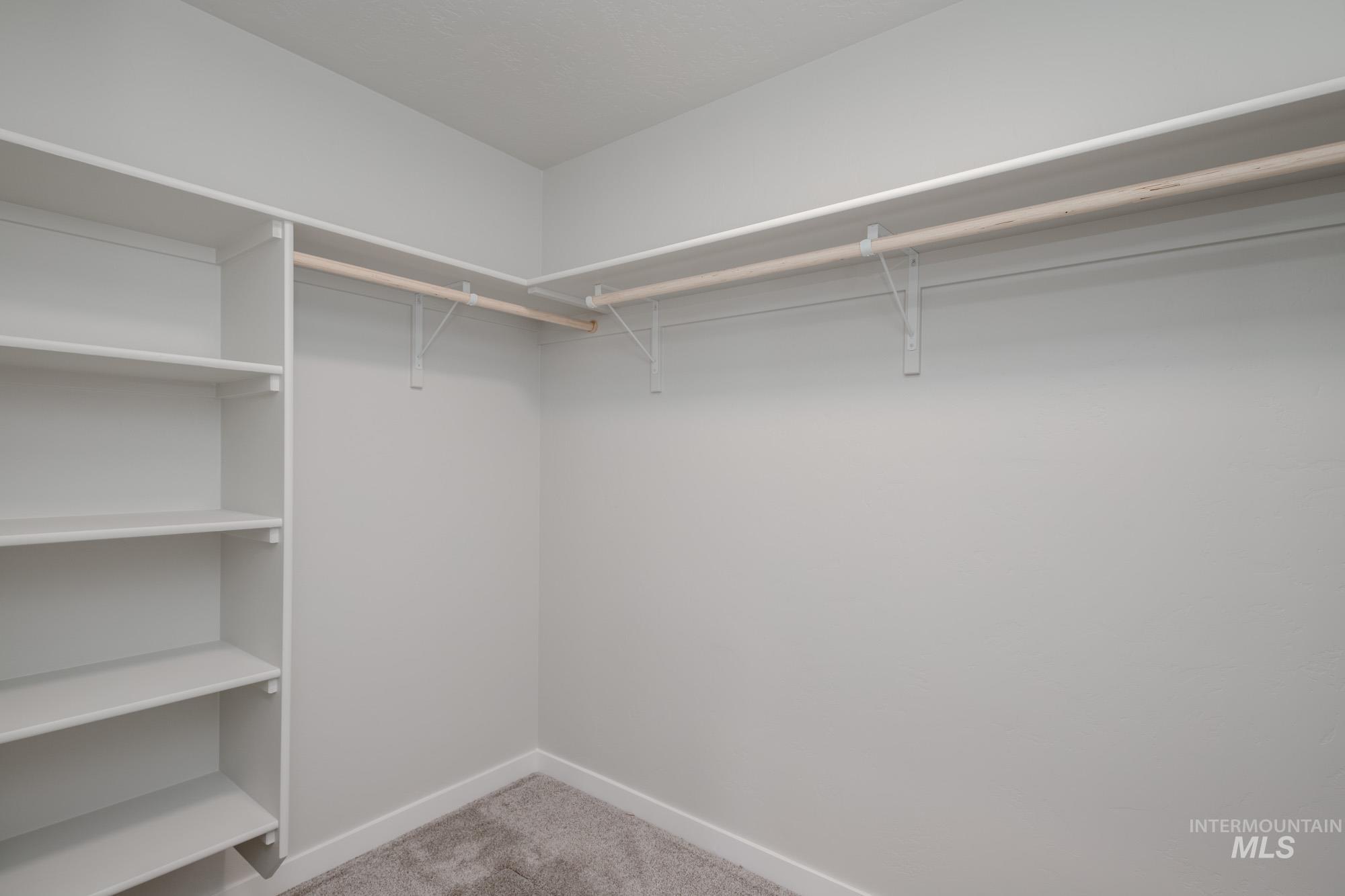 Walk in closet with light carpet