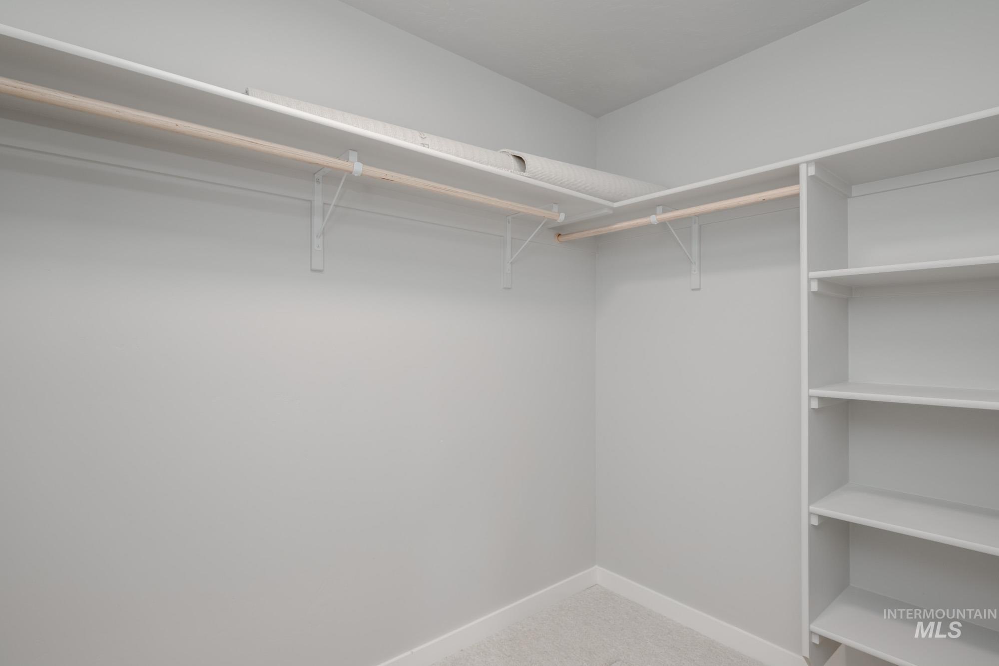 Walk in closet with light carpet