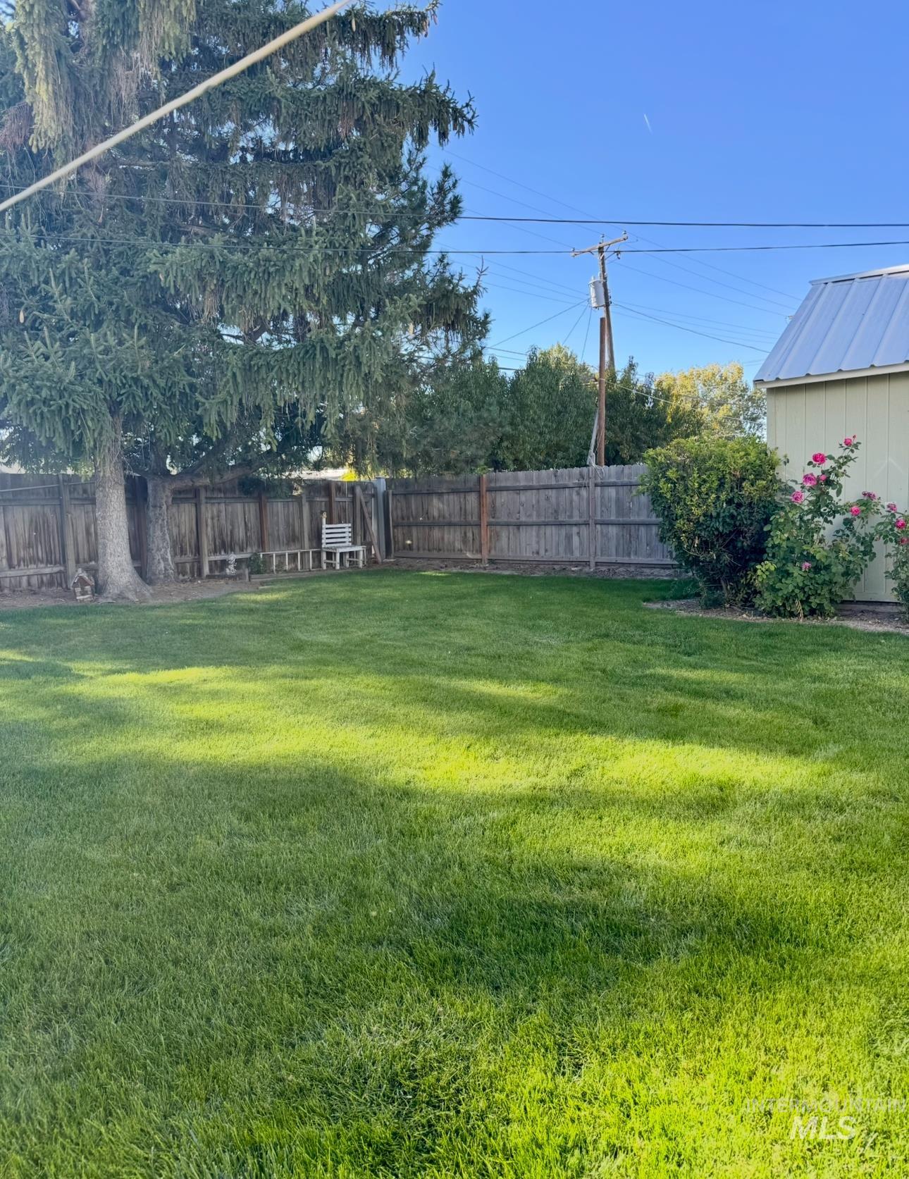 View of fenced backyard
