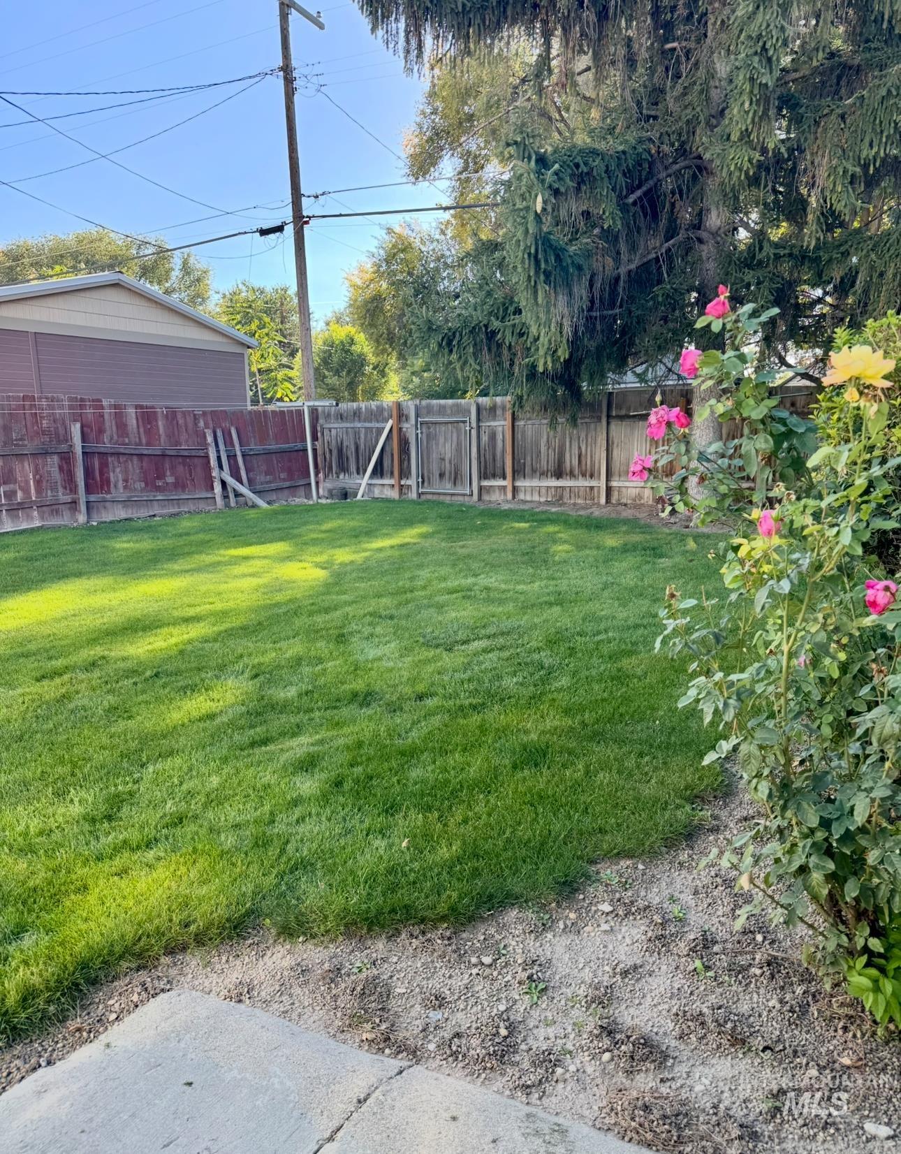 View of fenced backyard