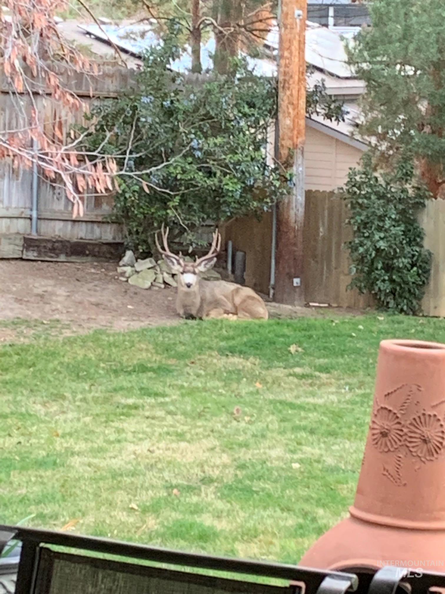 3100 N Ridgeway, Boise, Idaho 83702, 3 Bedrooms, 2 Bathrooms, Residential For Sale, Price $949,900, 98966445