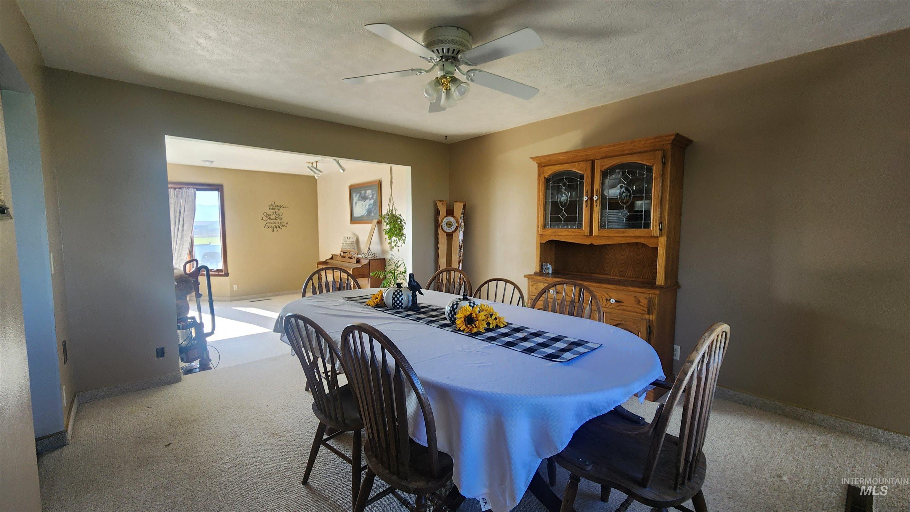 Dining space with light colored carpet, a textured ceiling, and ceiling fan