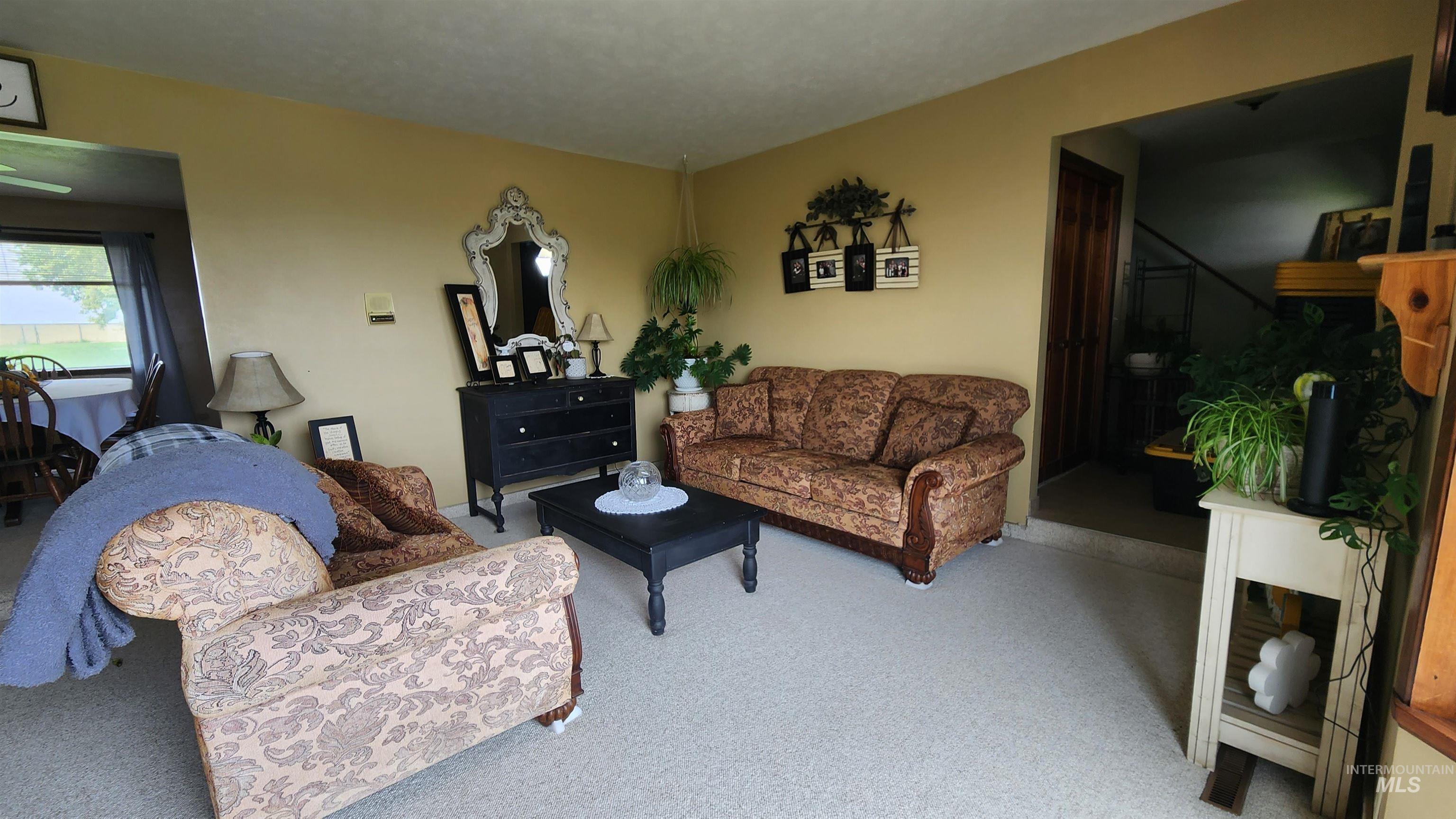 Living room with carpet floors