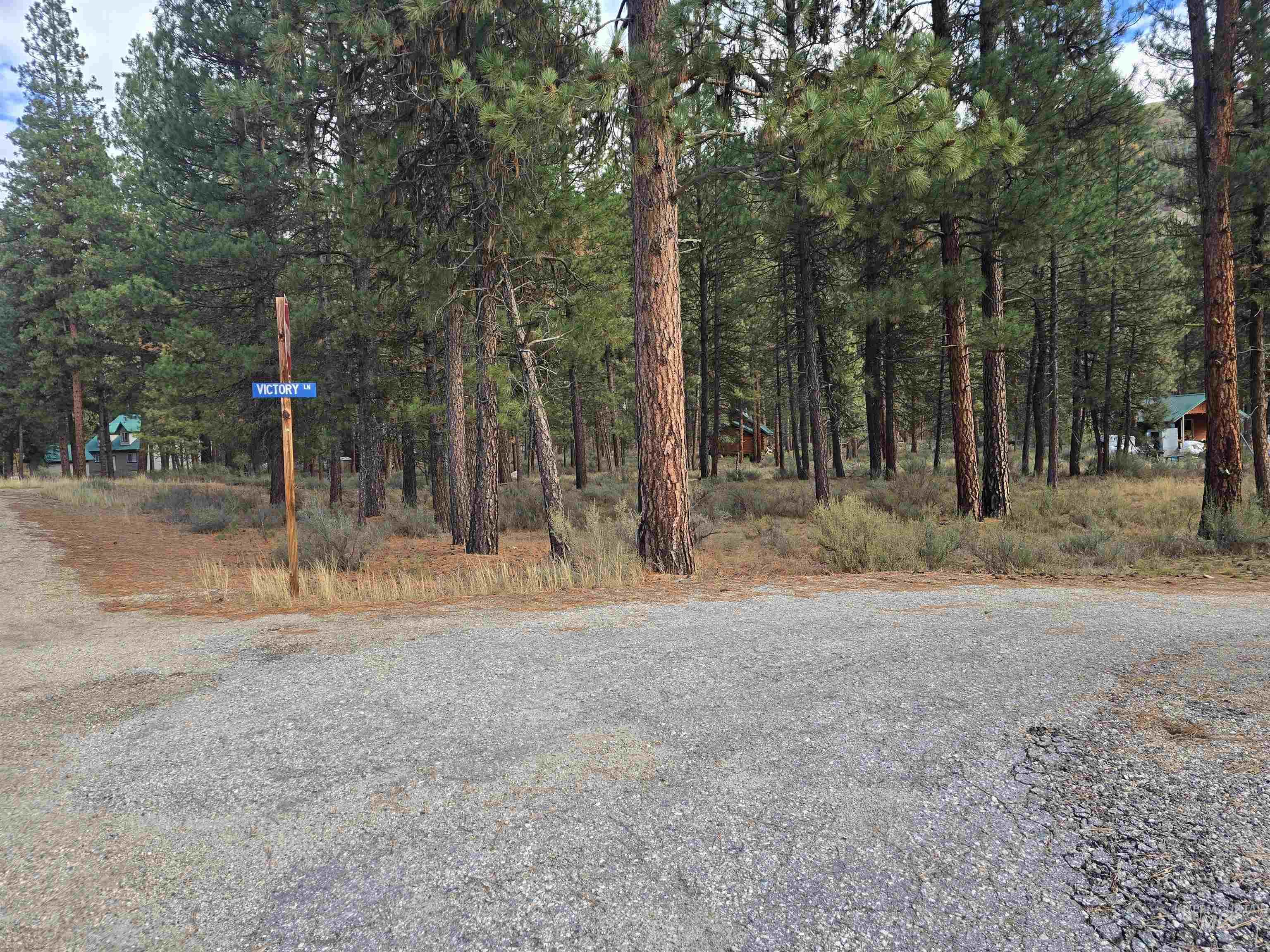 View of dirt / gravel road featuring a forest view