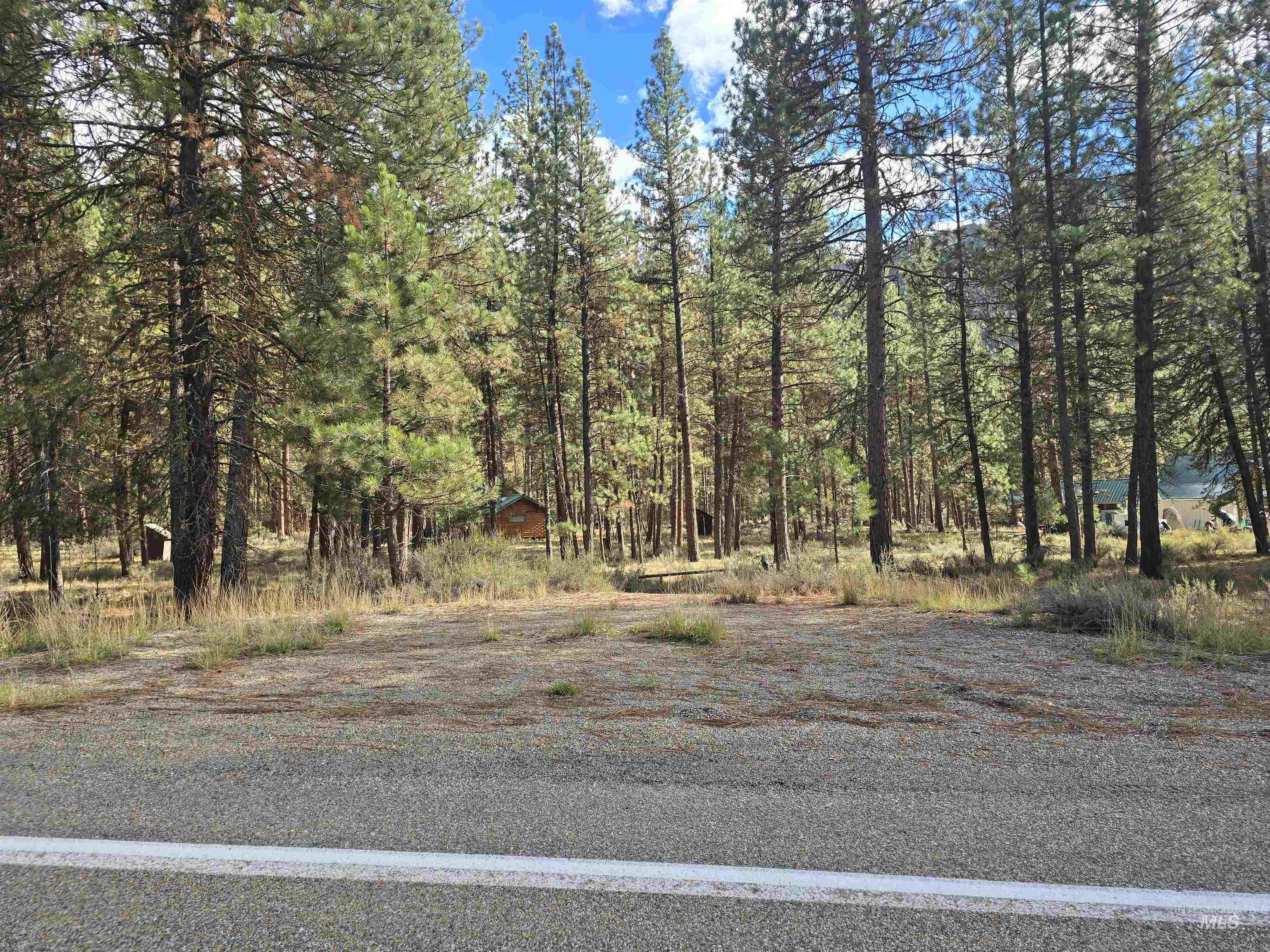 View of road with a view of trees
