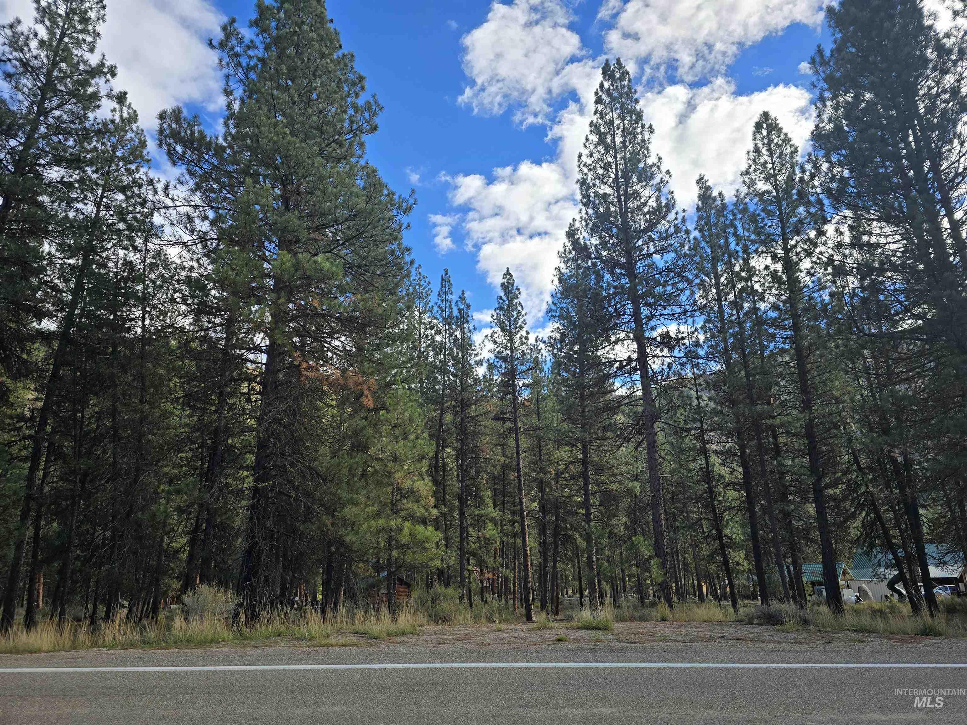 View of asphalt street with a forest view