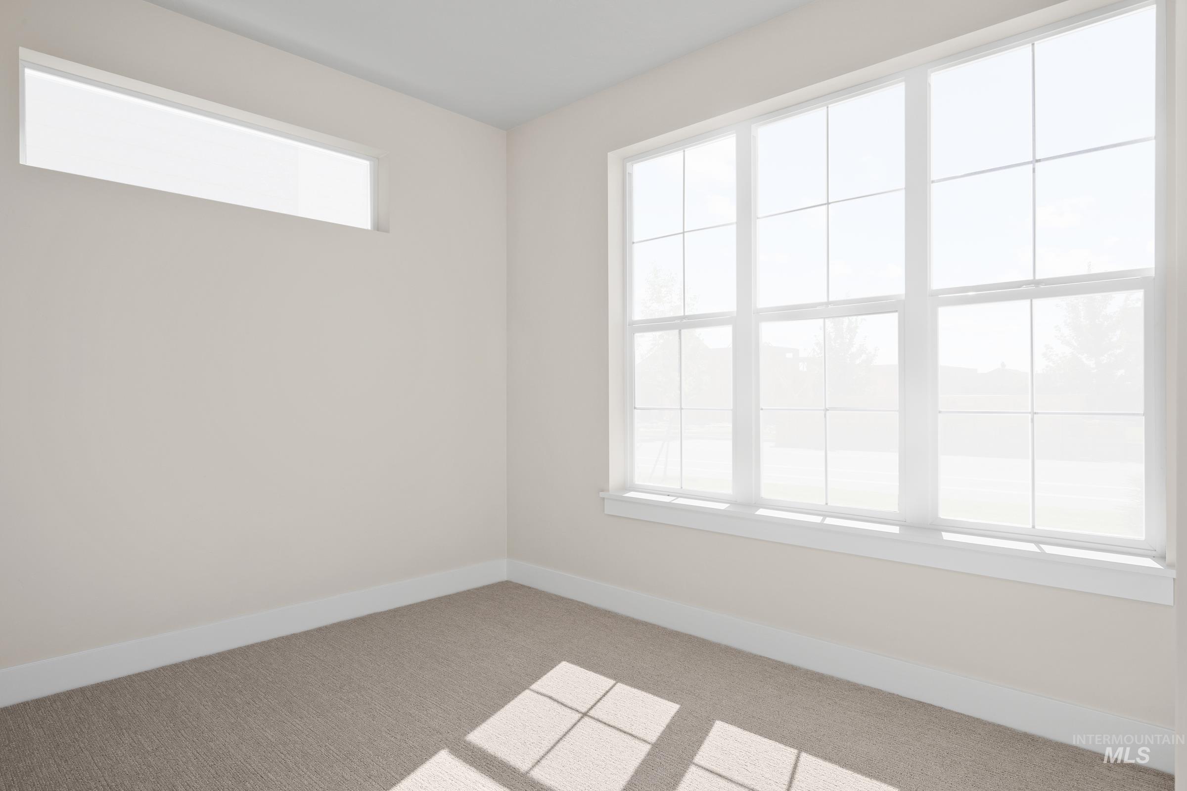 Unfurnished room with baseboards and carpet flooring