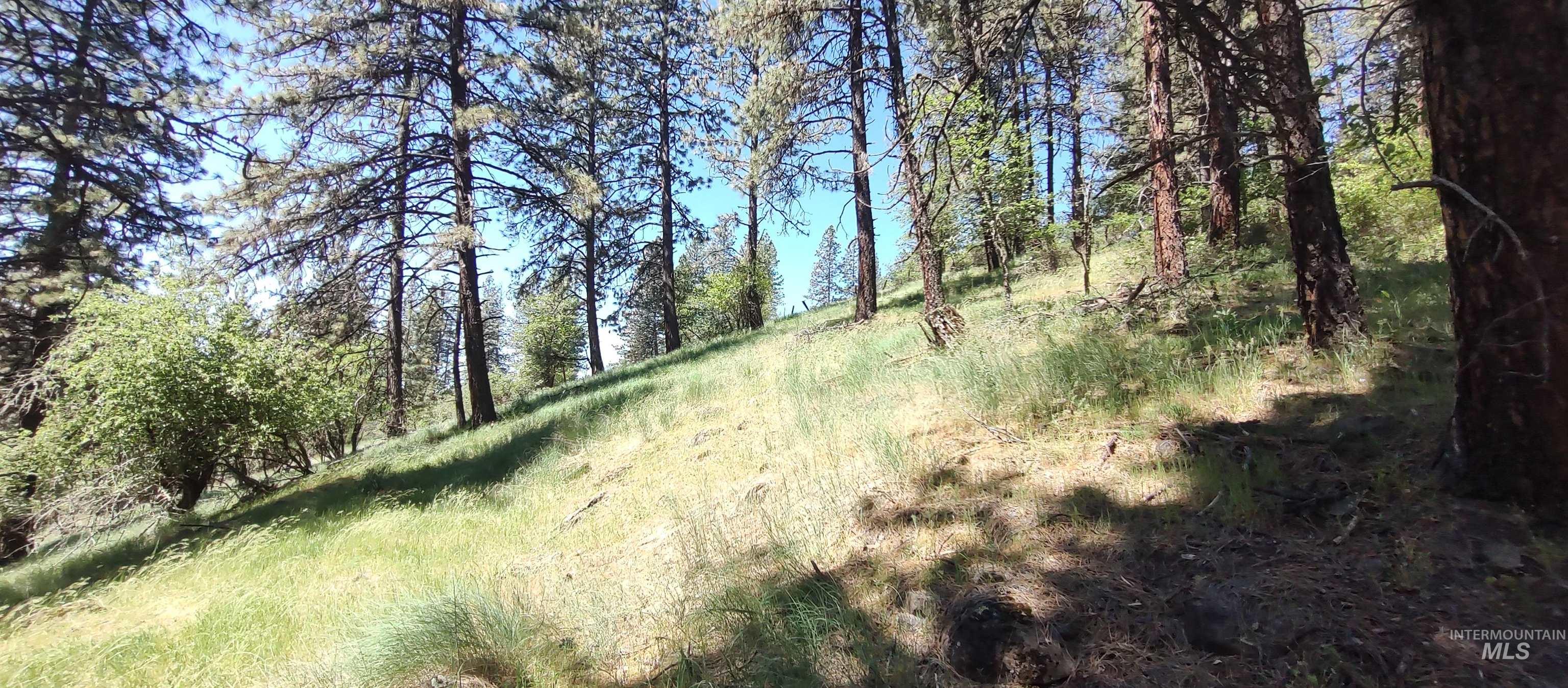 400 Bobcat Drive, Ahsahka, Idaho 83520-2101, 3 Bedrooms, 2 Bathrooms, Residential For Sale, Price $409,700, 98966533